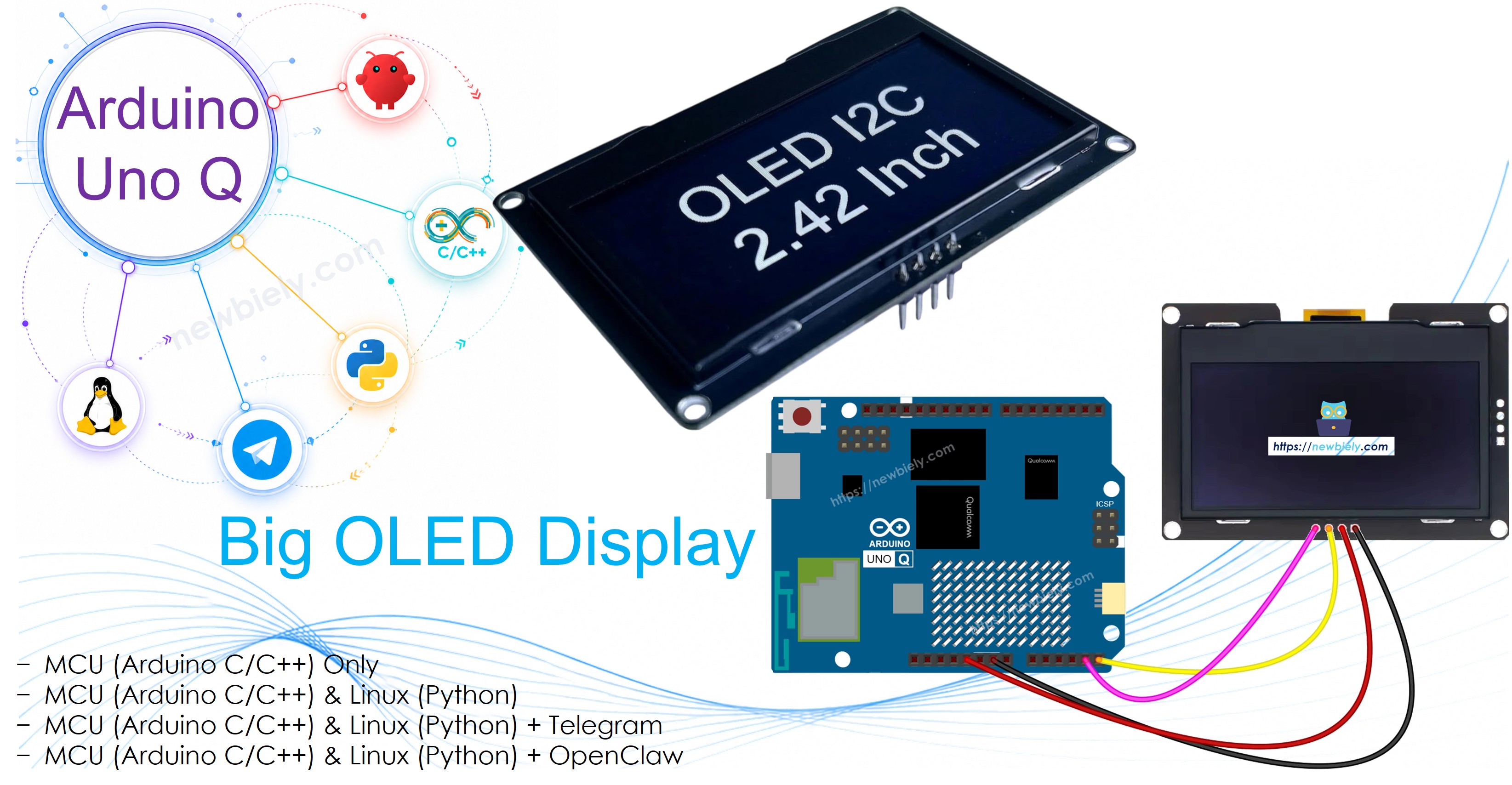 Arduino UNO Q - SSD1309 OLED Display 2.42 inch