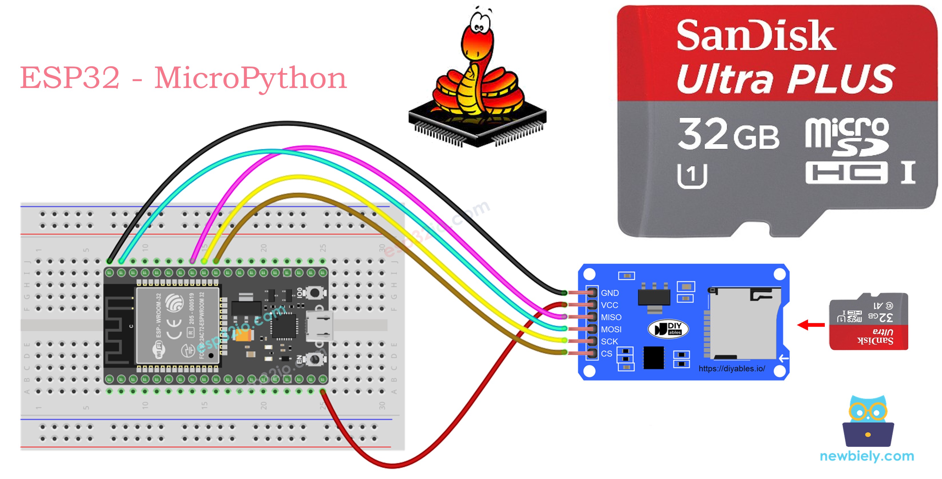 ESP32 MicroPython and Micro SD Card