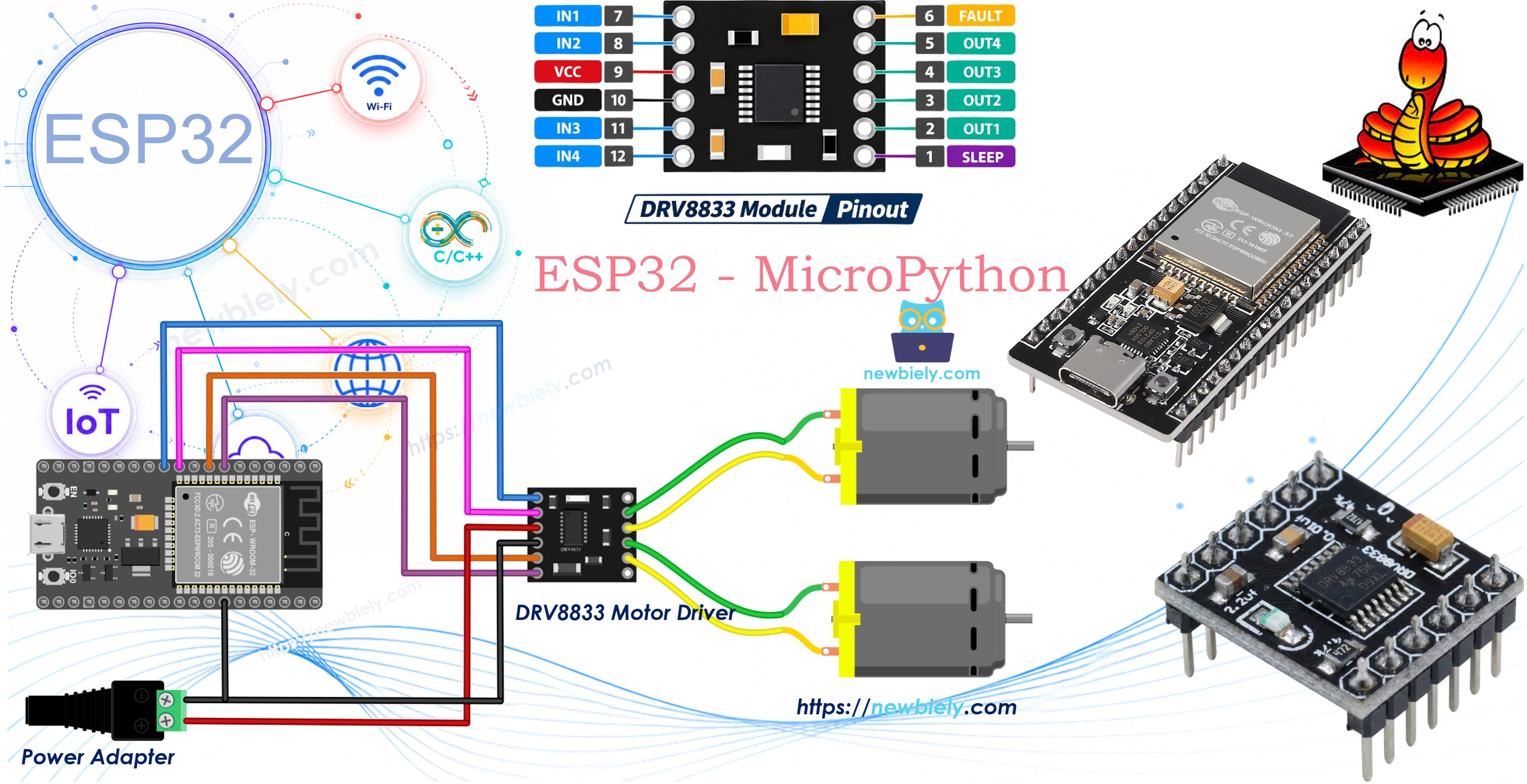 ESP32 MicroPython and DRV8833 DC motor driver