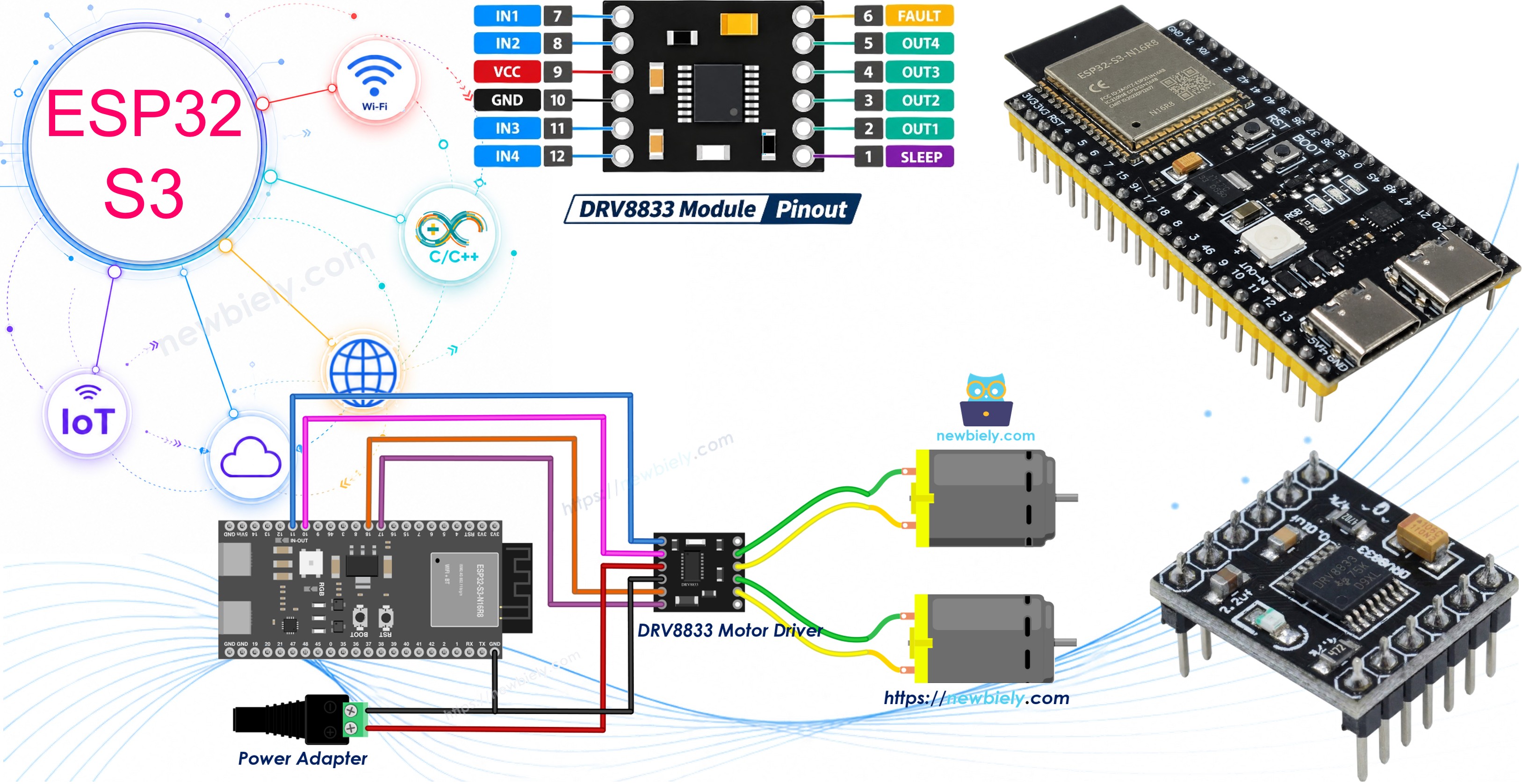 ESP32 S3 - DRV8833 DC Motor Driver