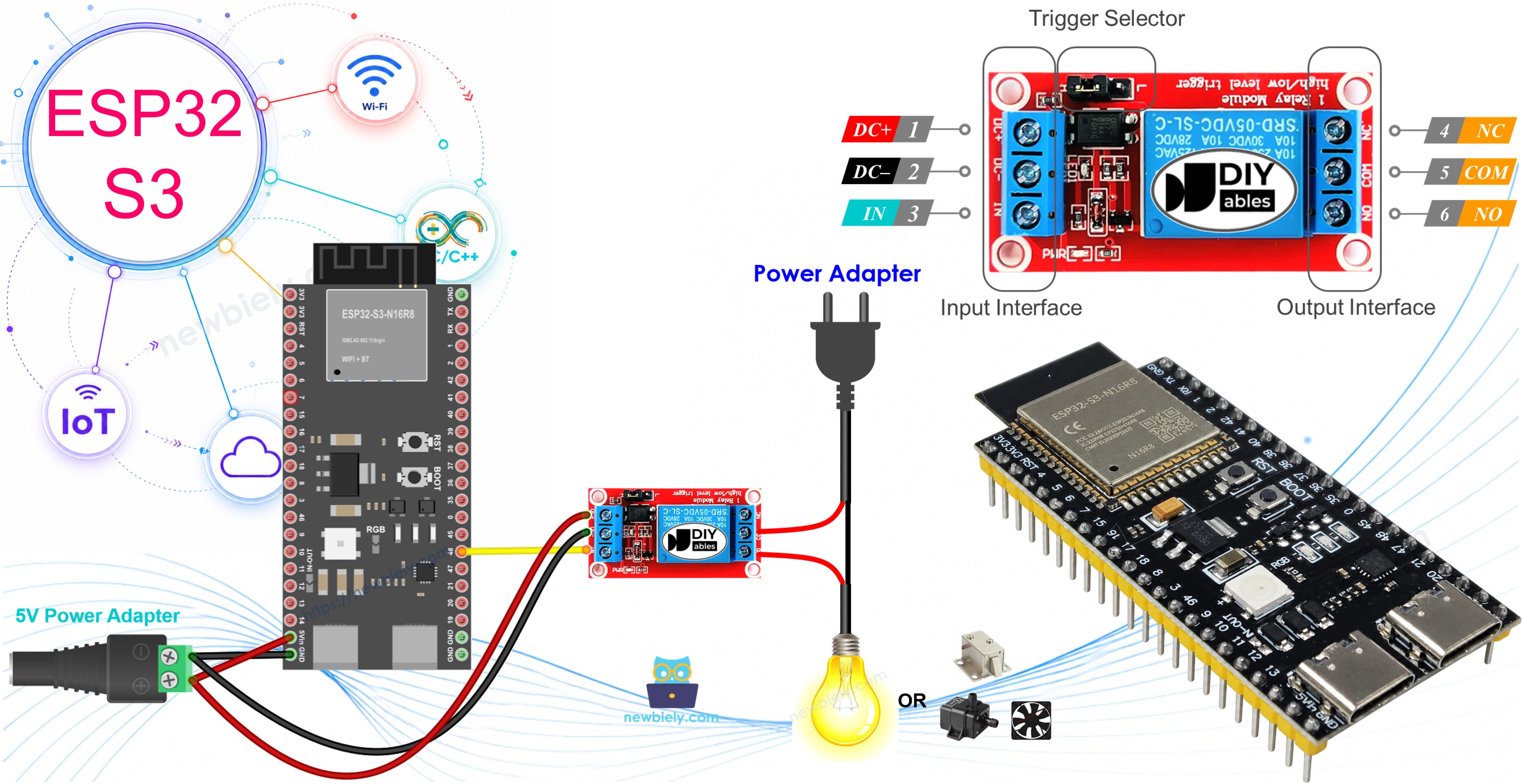 ESP32 S3 RELAY