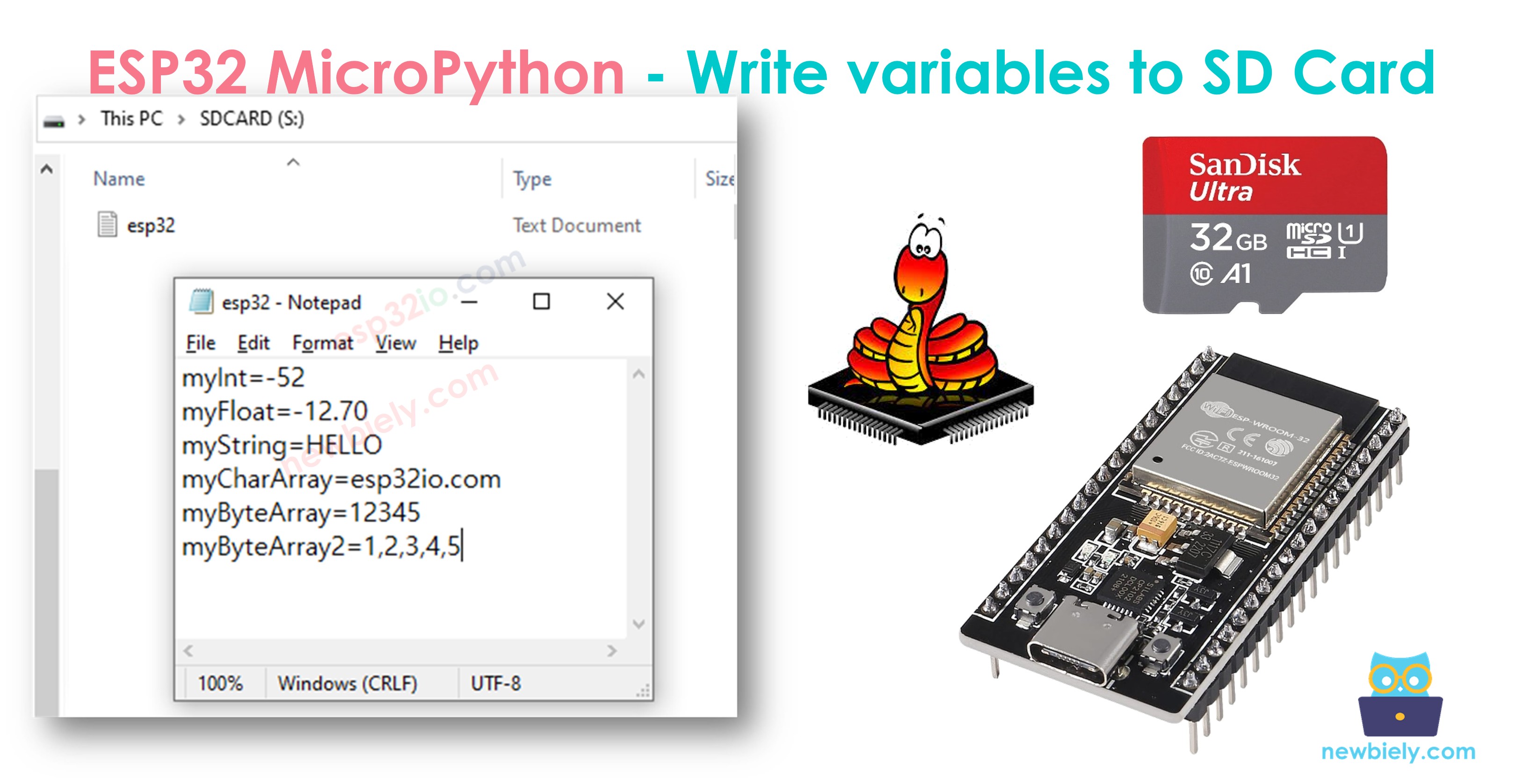 ESP32 MicroPython Micro SD Card