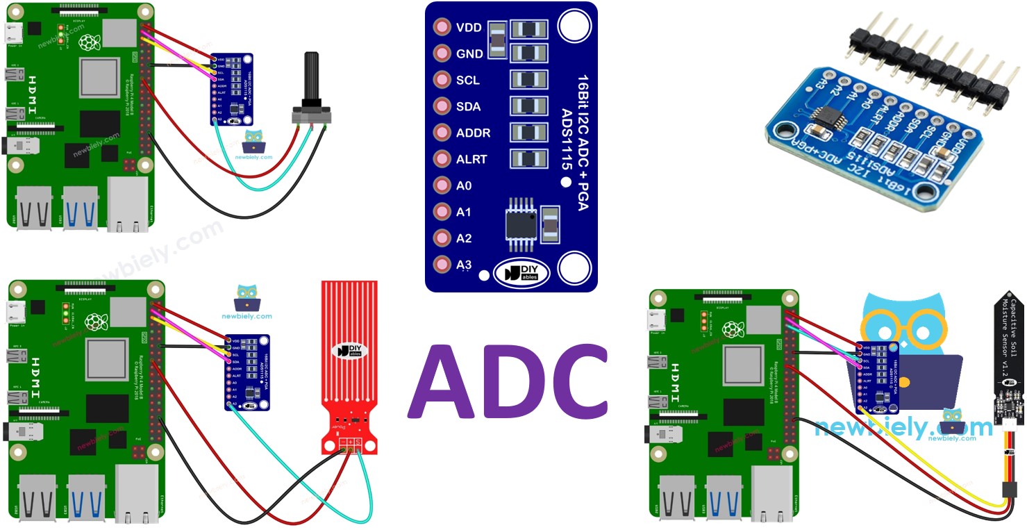 Raspberry Pi INTERFACES