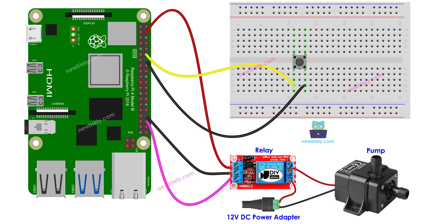 Raspberry Pi - Button - Pump | Raspberry Pi Tutorial