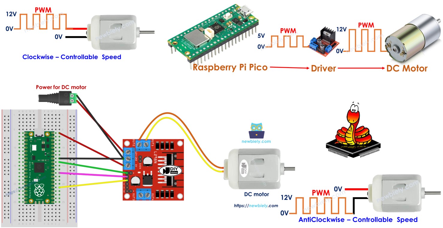 Raspberry Pi Pico MOTOR