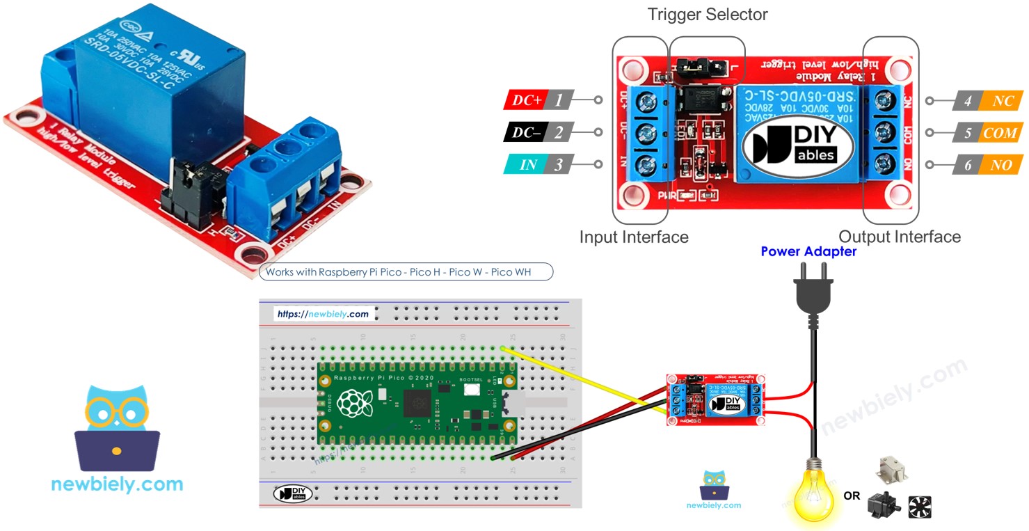 Raspberry Pi Pico and relay