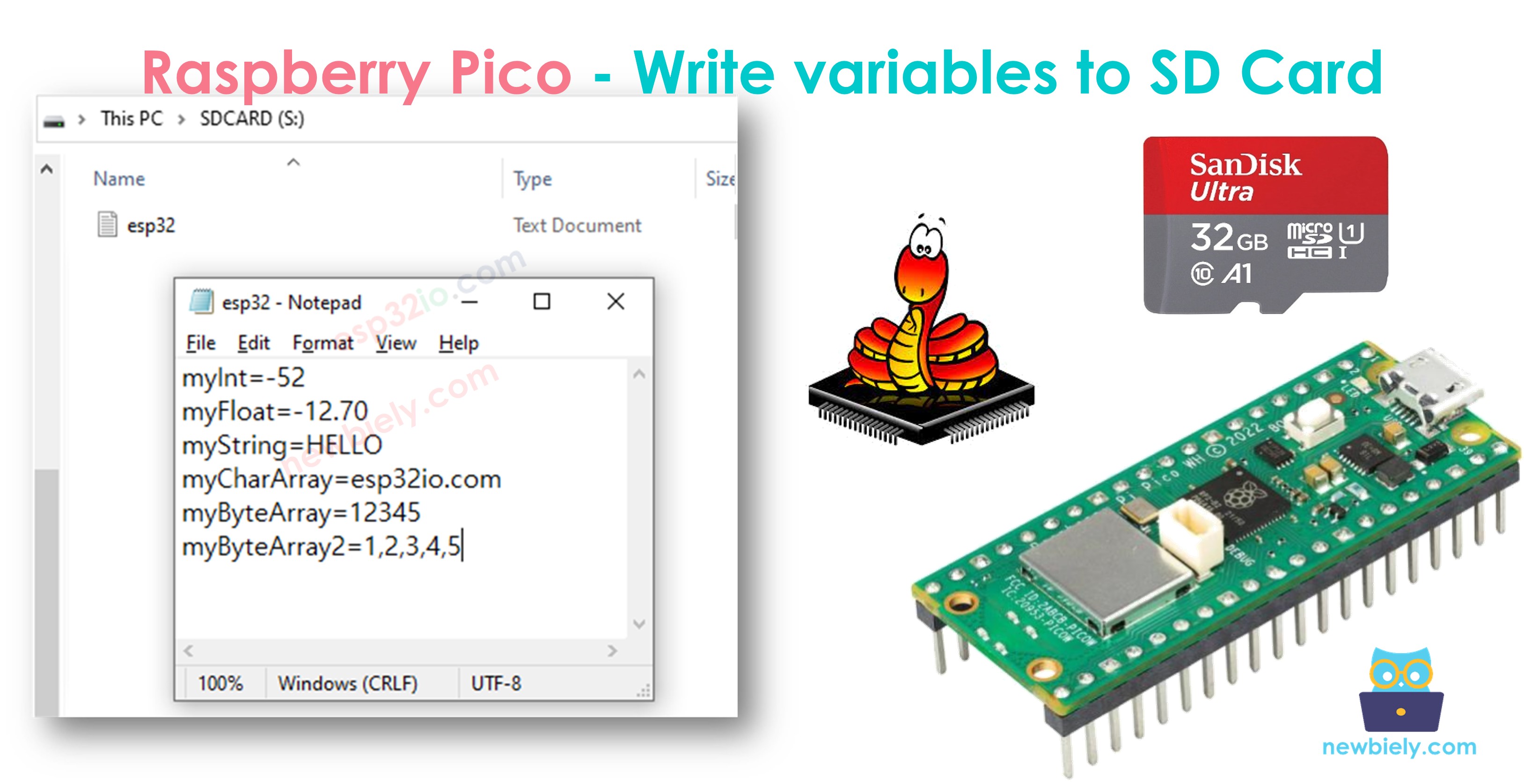 Raspberry Pi Pico Micro SD Card