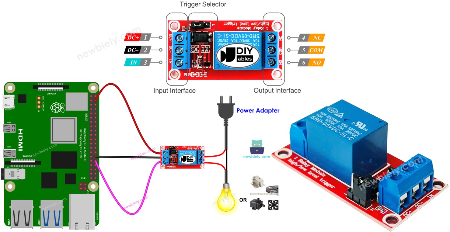 Raspberry Pi RELAY