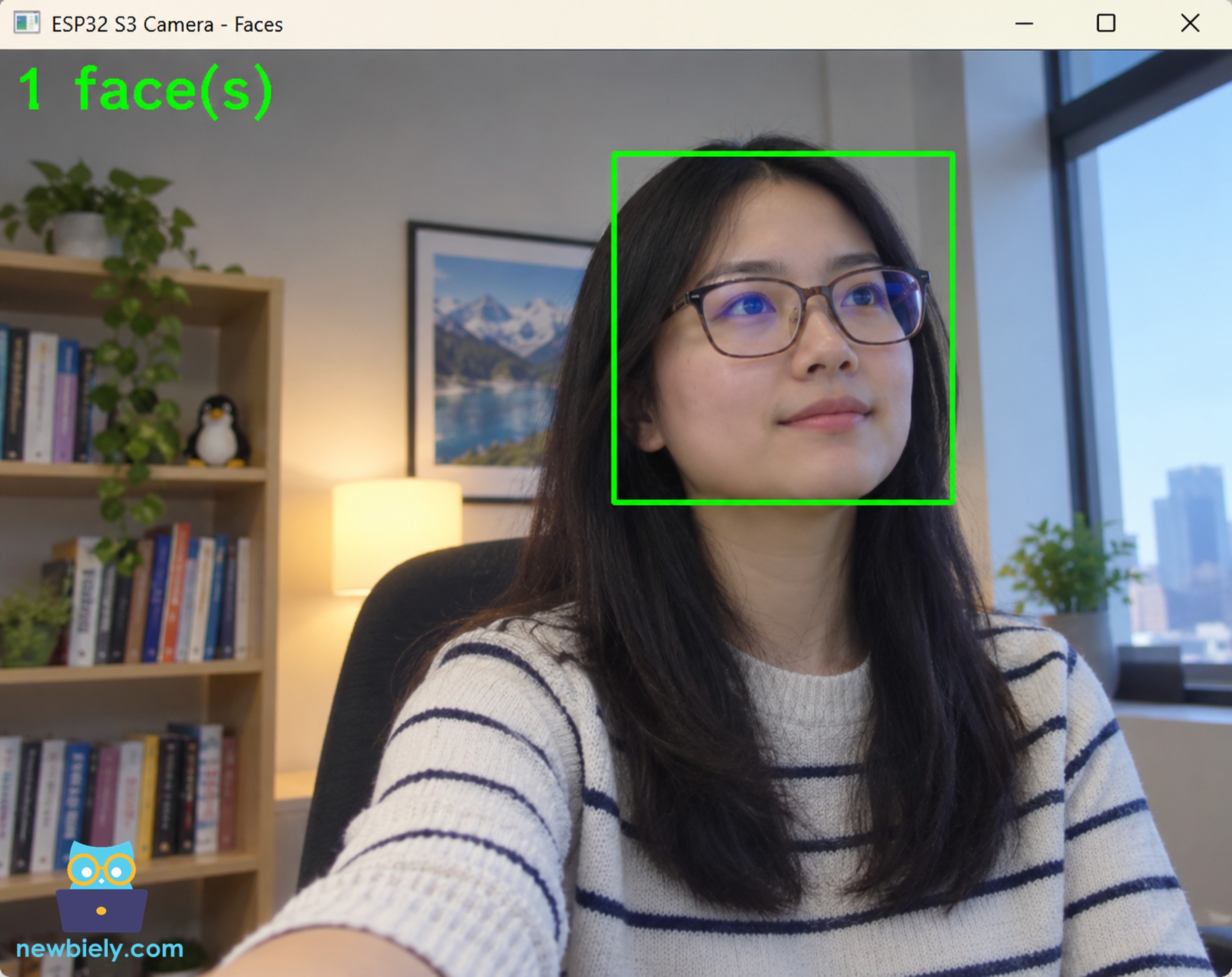 ESP32 S3 Camera Face Detection in Python