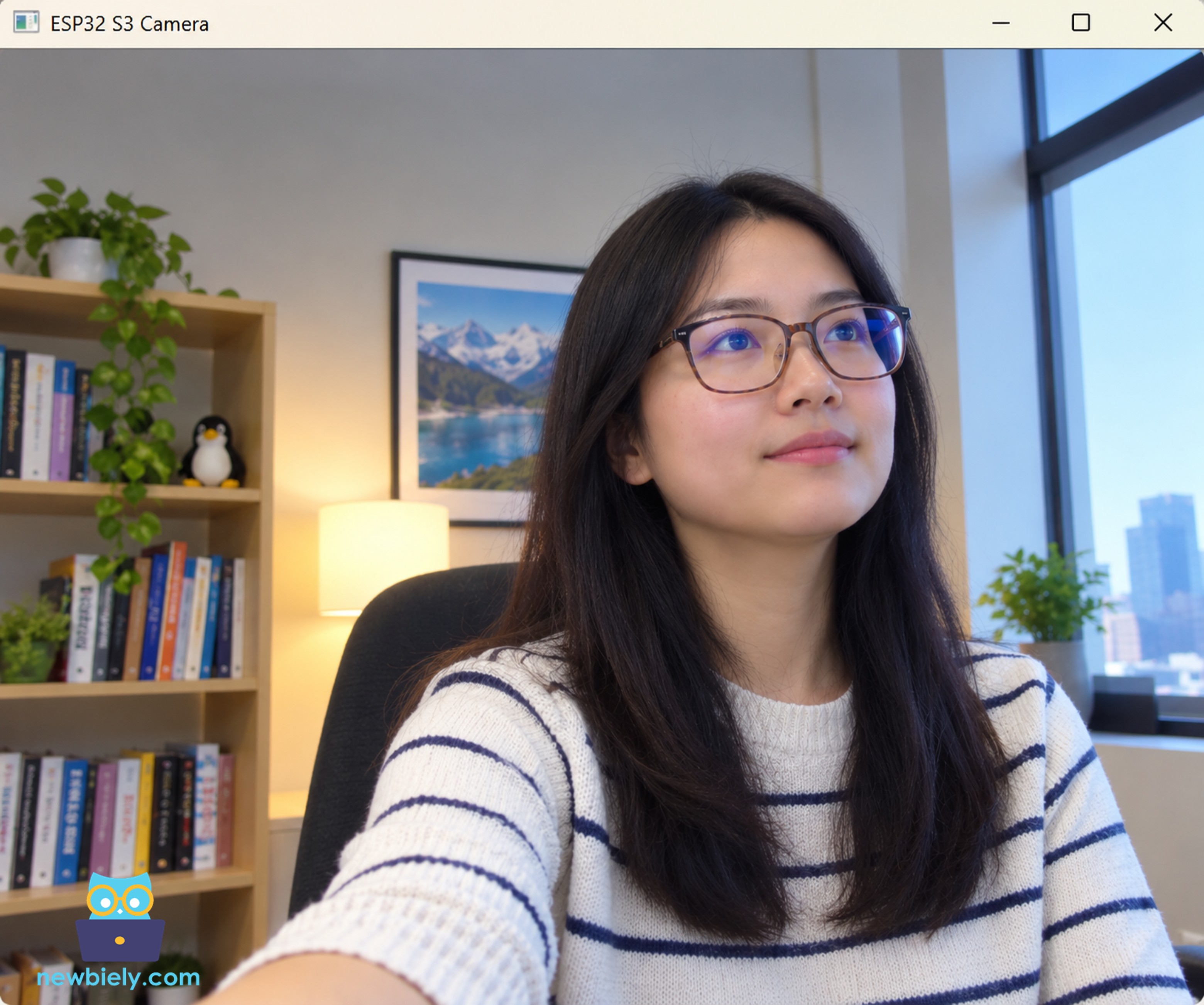 ESP32 S3 Camera Video in a Python Window