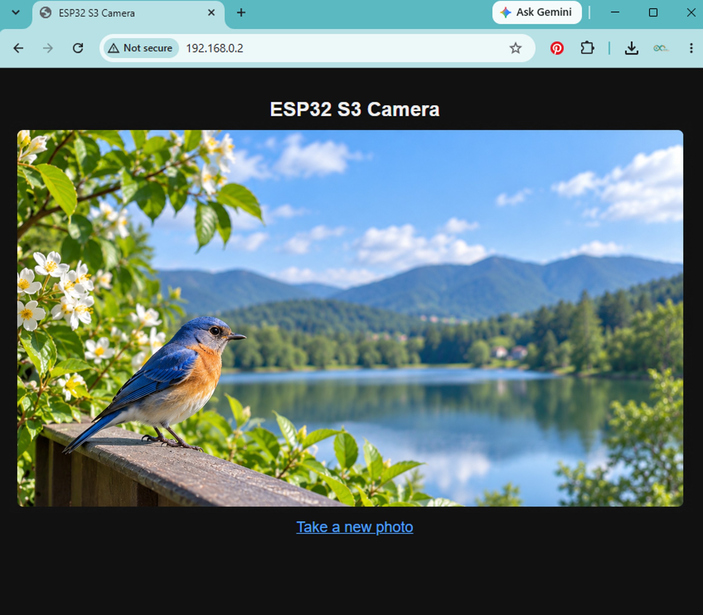 ESP32 S3 Camera Photo in Web Browser