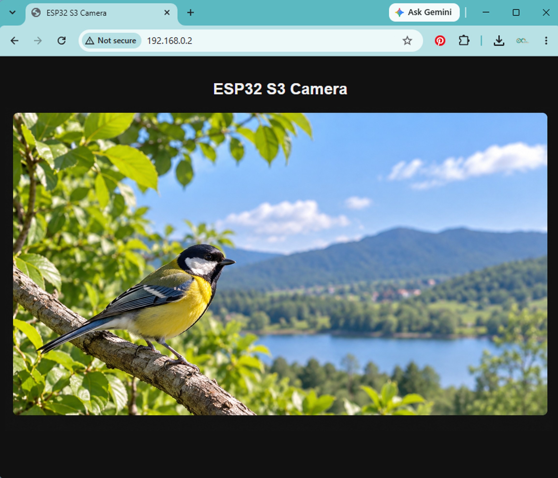 ESP32 S3 Camera Live Video in Web Browser