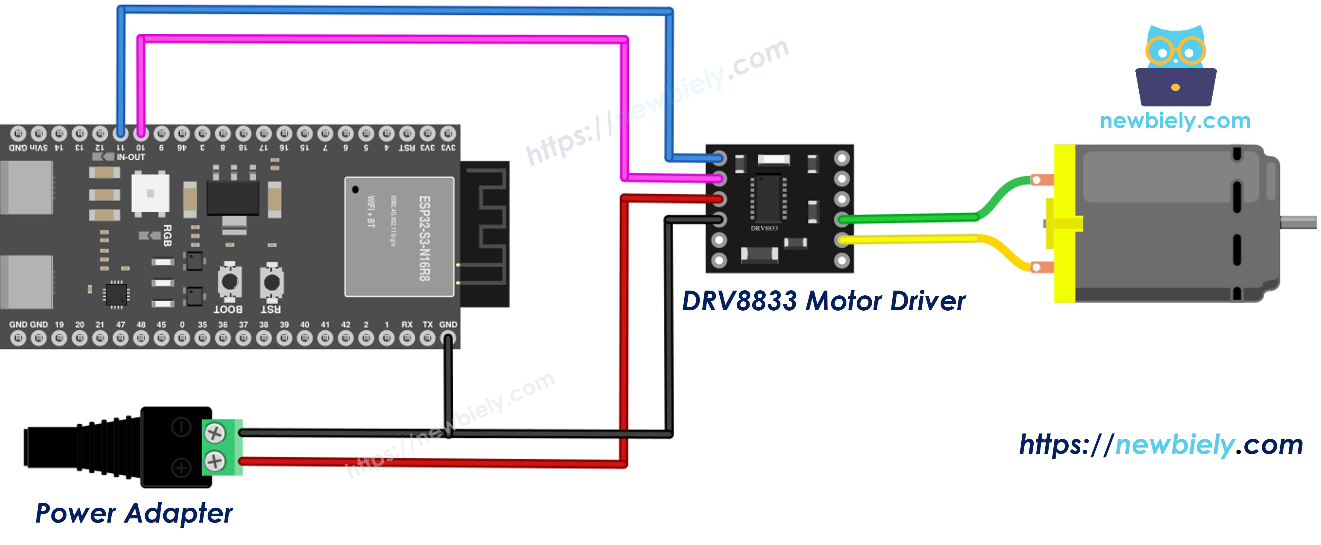 The wiring diagram between ESP32 S3 DRV8833 one DC motor