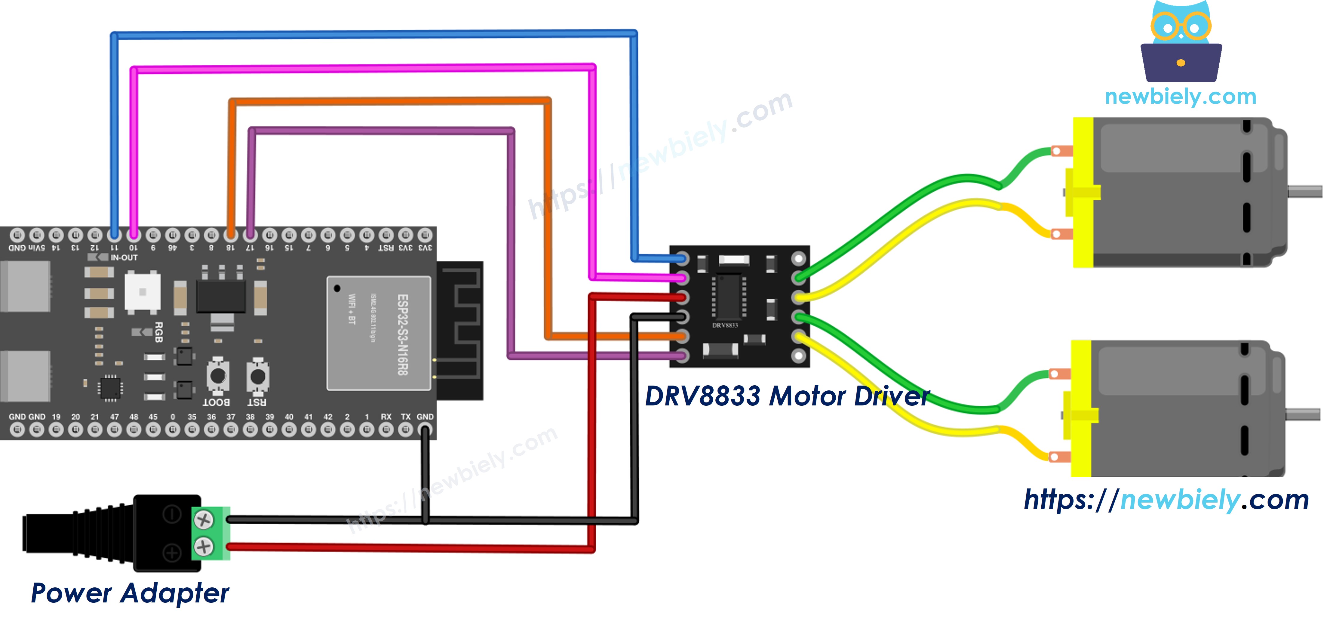 The wiring diagram between ESP32 S3 DRV8833 two DC motors