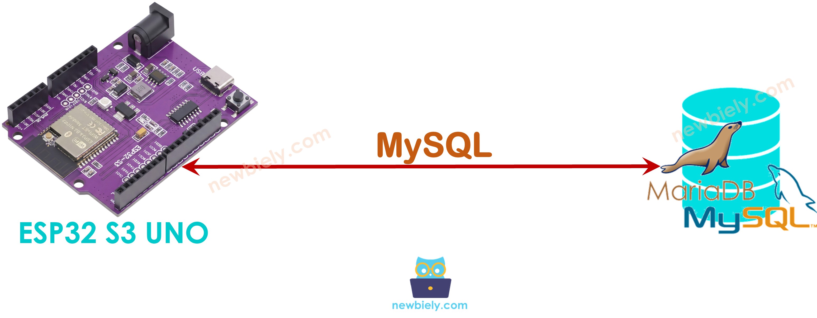 ESP32 S3 Uno directly to MySQL