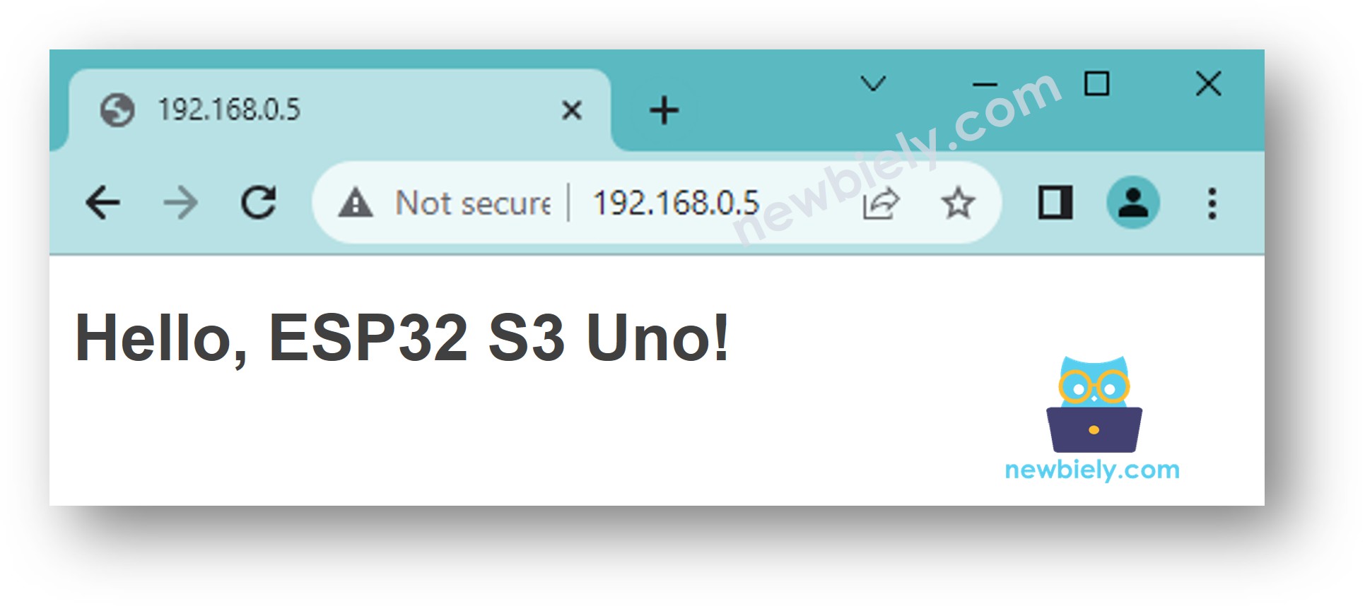 ESP32 S3 Uno web server simple page