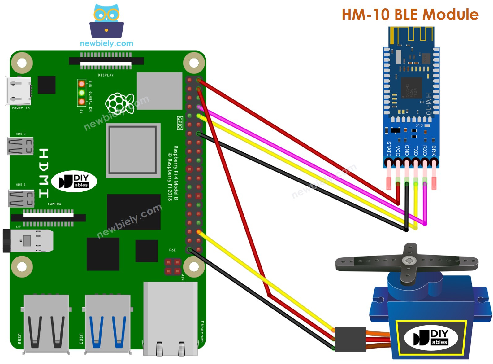 The wiring diagram between Raspberry Pi and Servo Motor BLE