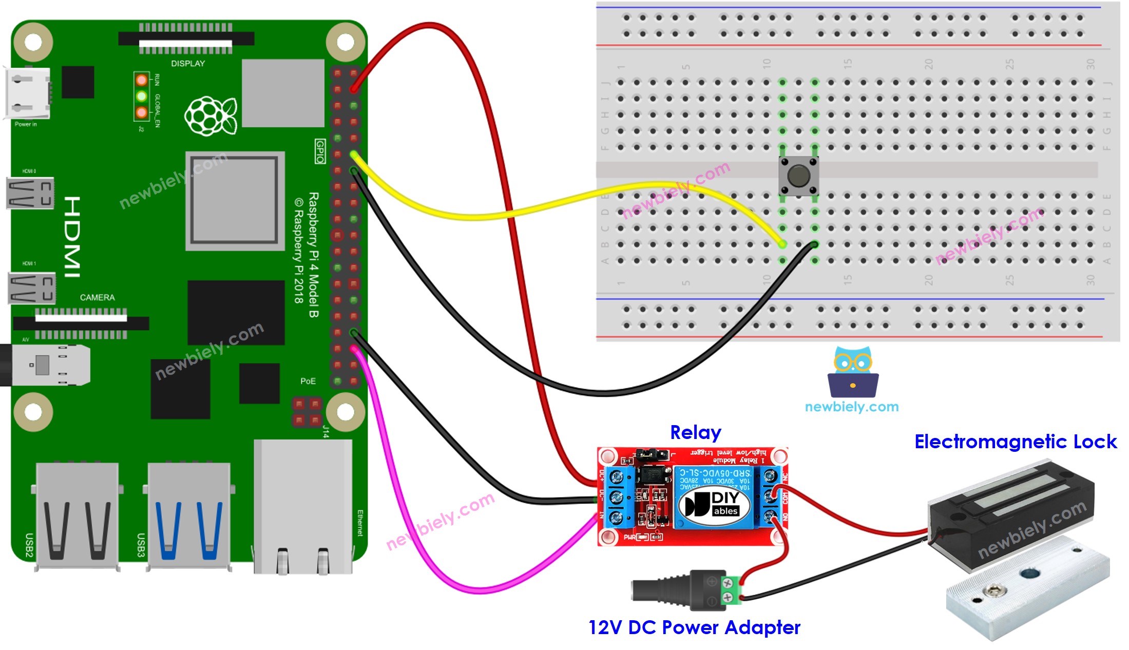 The wiring diagram between Raspberry Pi and Button Electromagnetic Lock