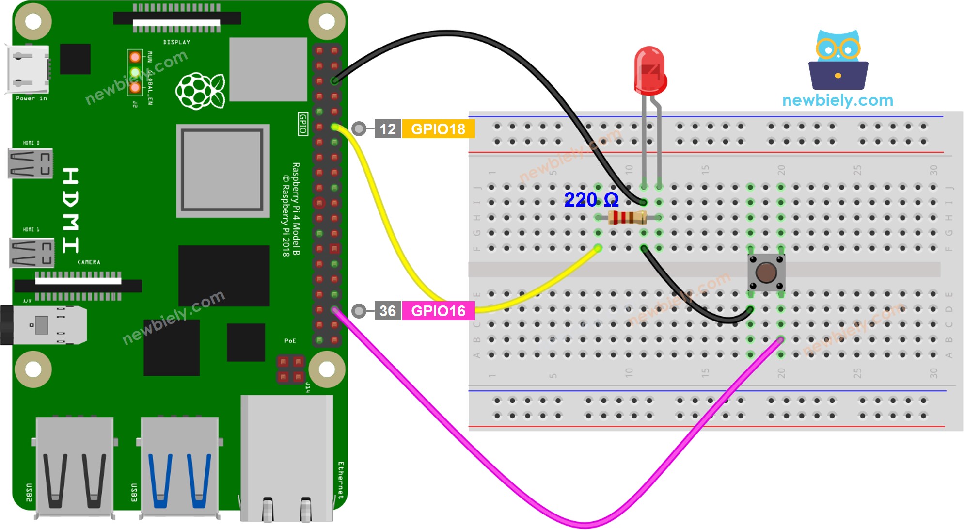 The wiring diagram between Raspberry Pi and Button LED