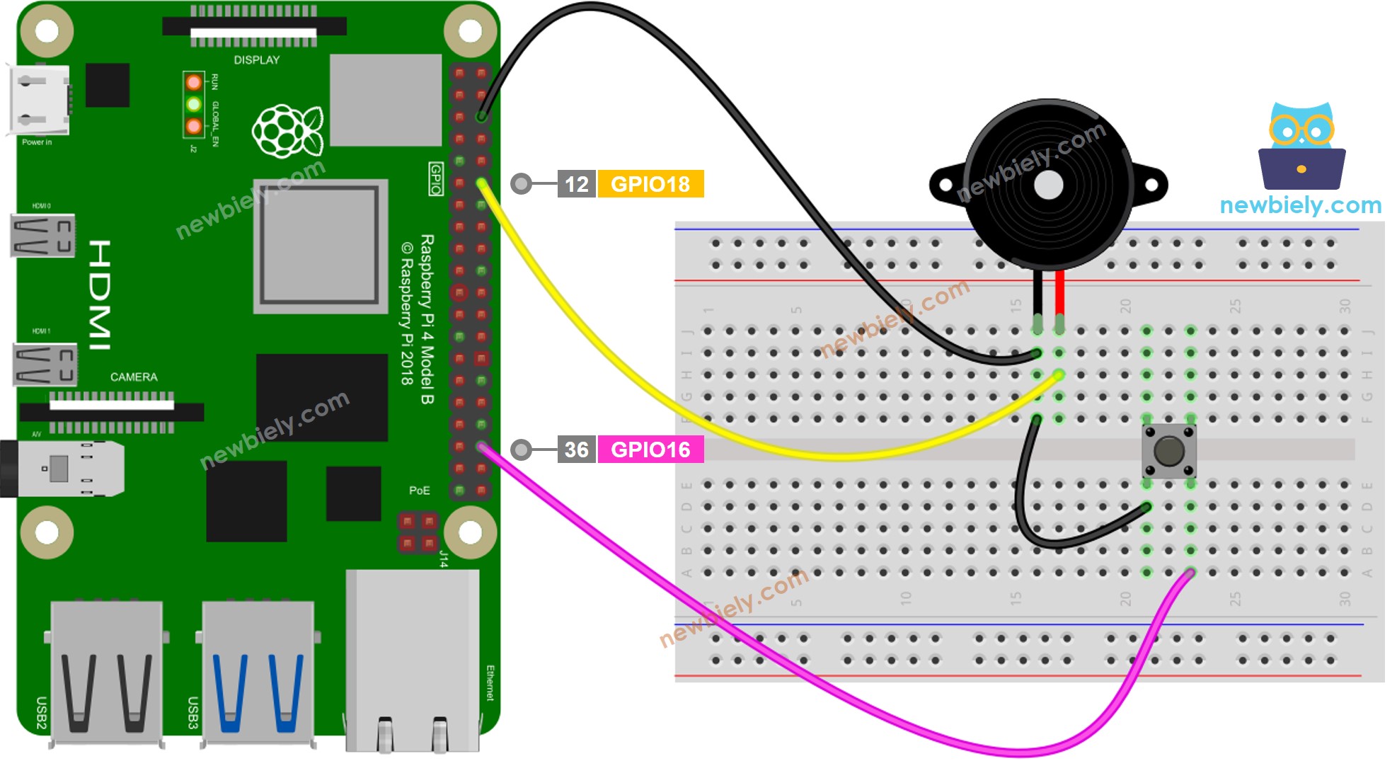 The wiring diagram between Raspberry Pi and Button Piezo Buzzer