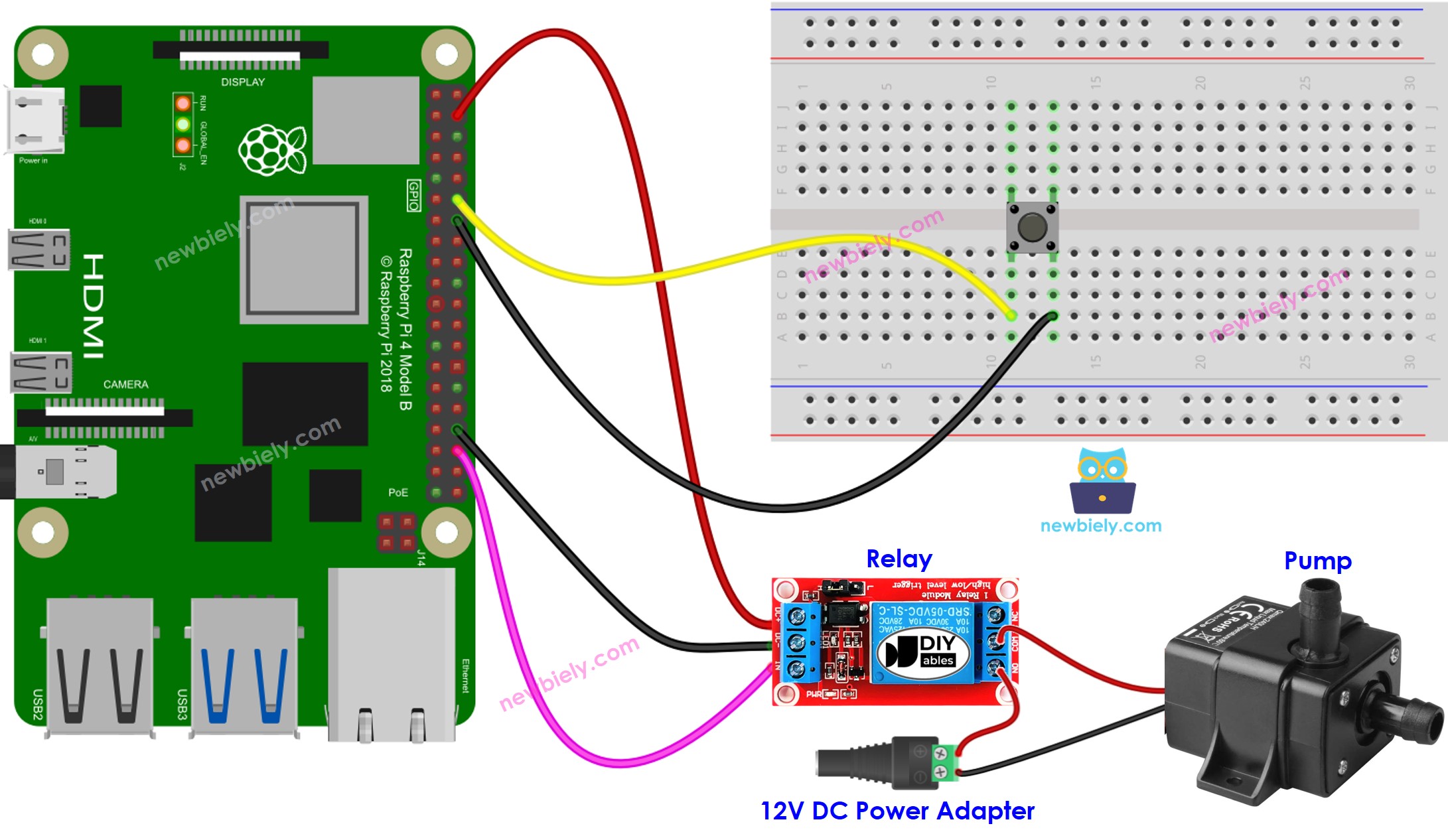 The wiring diagram between Raspberry Pi and Button controls Pump