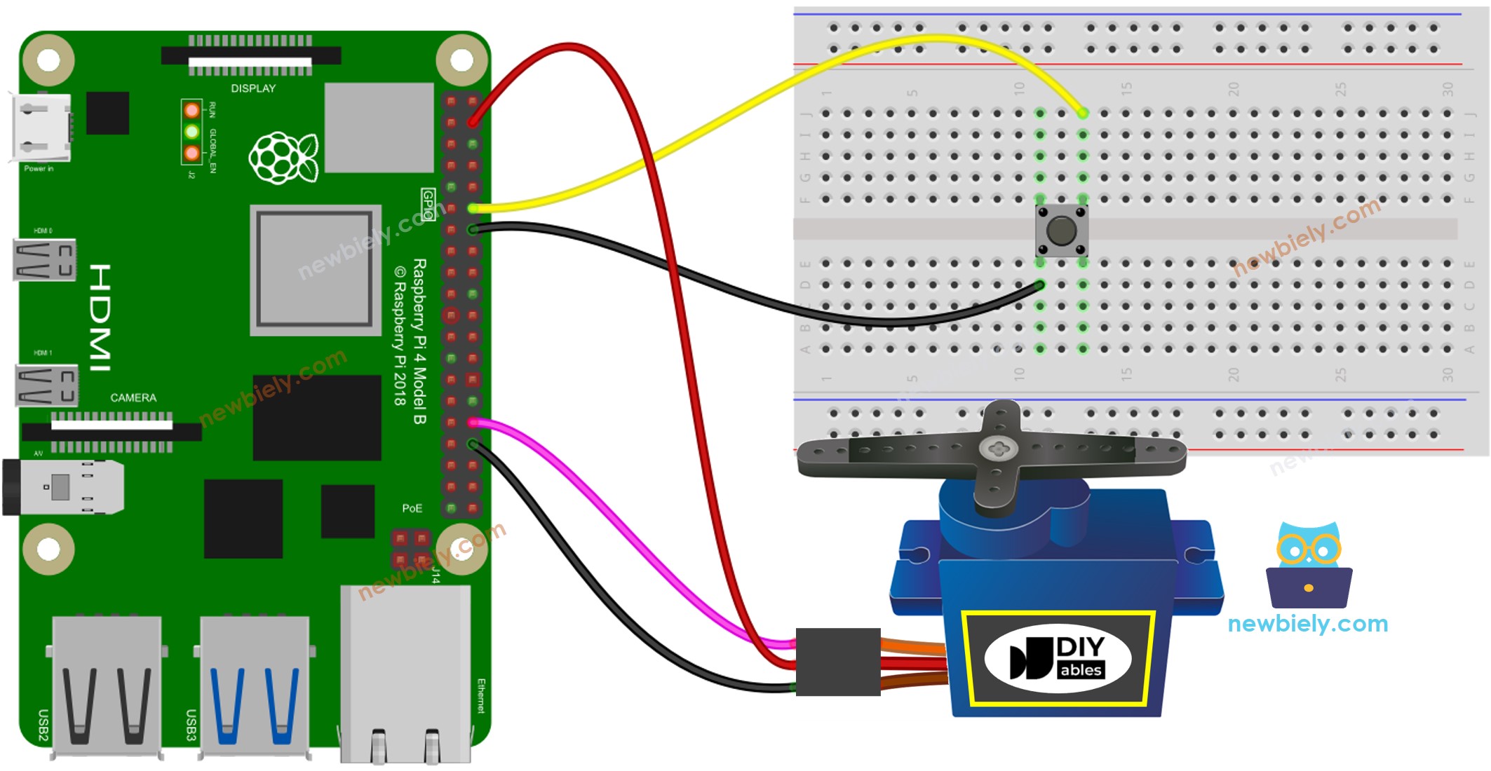 The wiring diagram between Raspberry Pi and Button Servo Motor