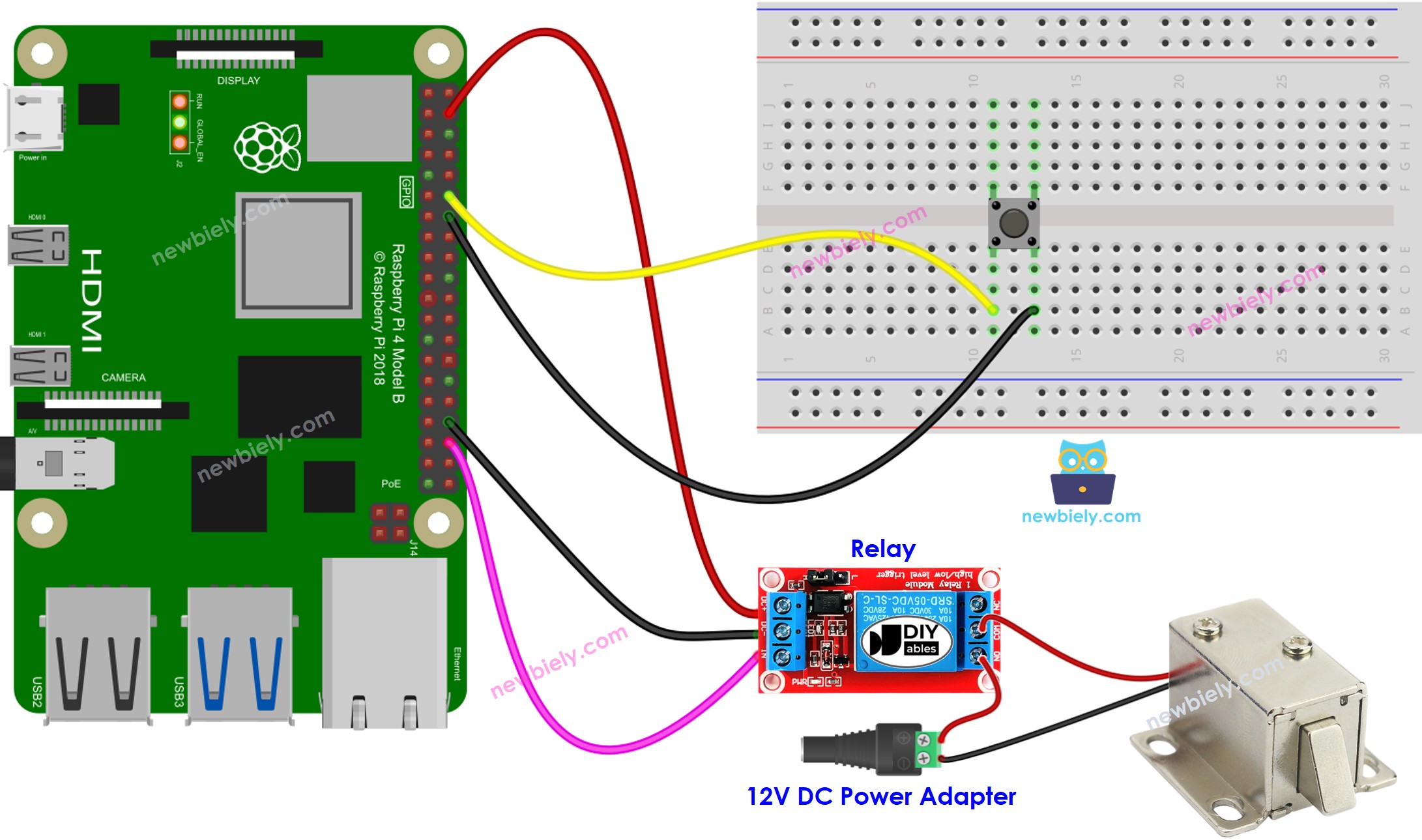 The wiring diagram between Raspberry Pi and button solenoid lock