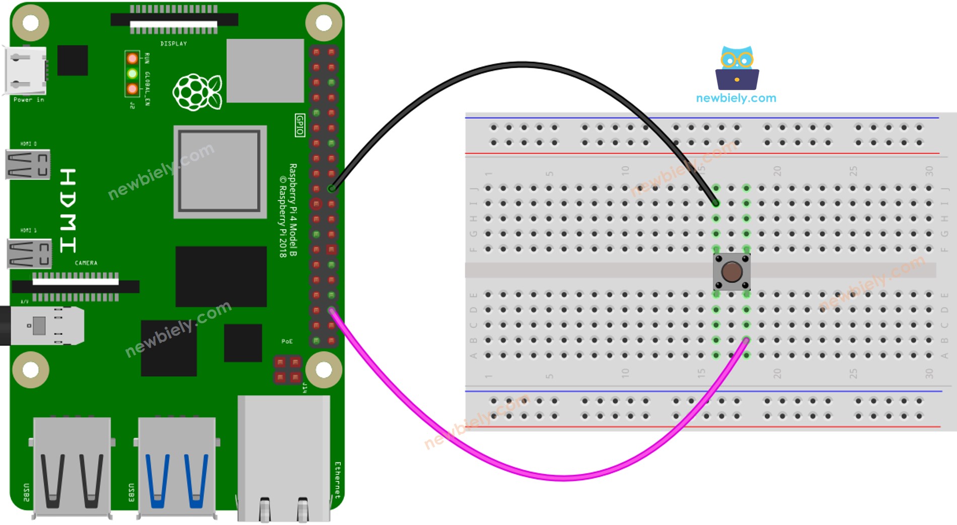 The wiring diagram between Raspberry Pi and Button