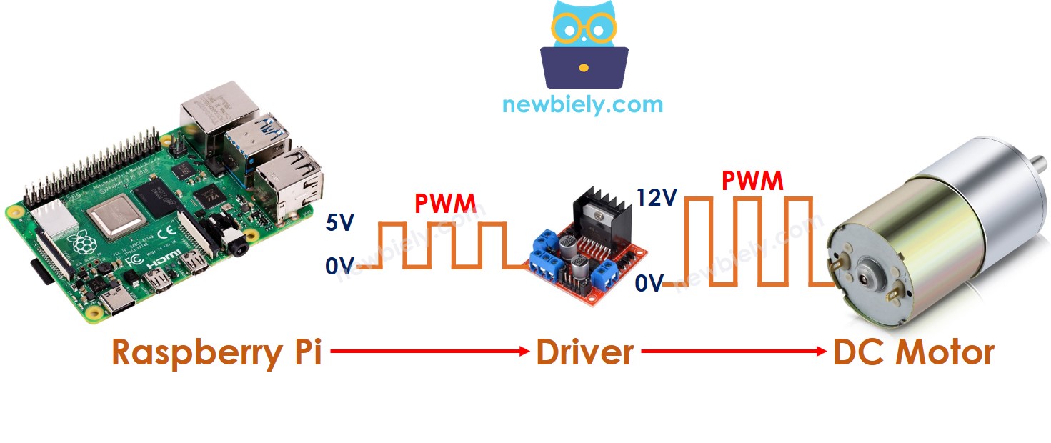 Raspberry Pi control DC motor