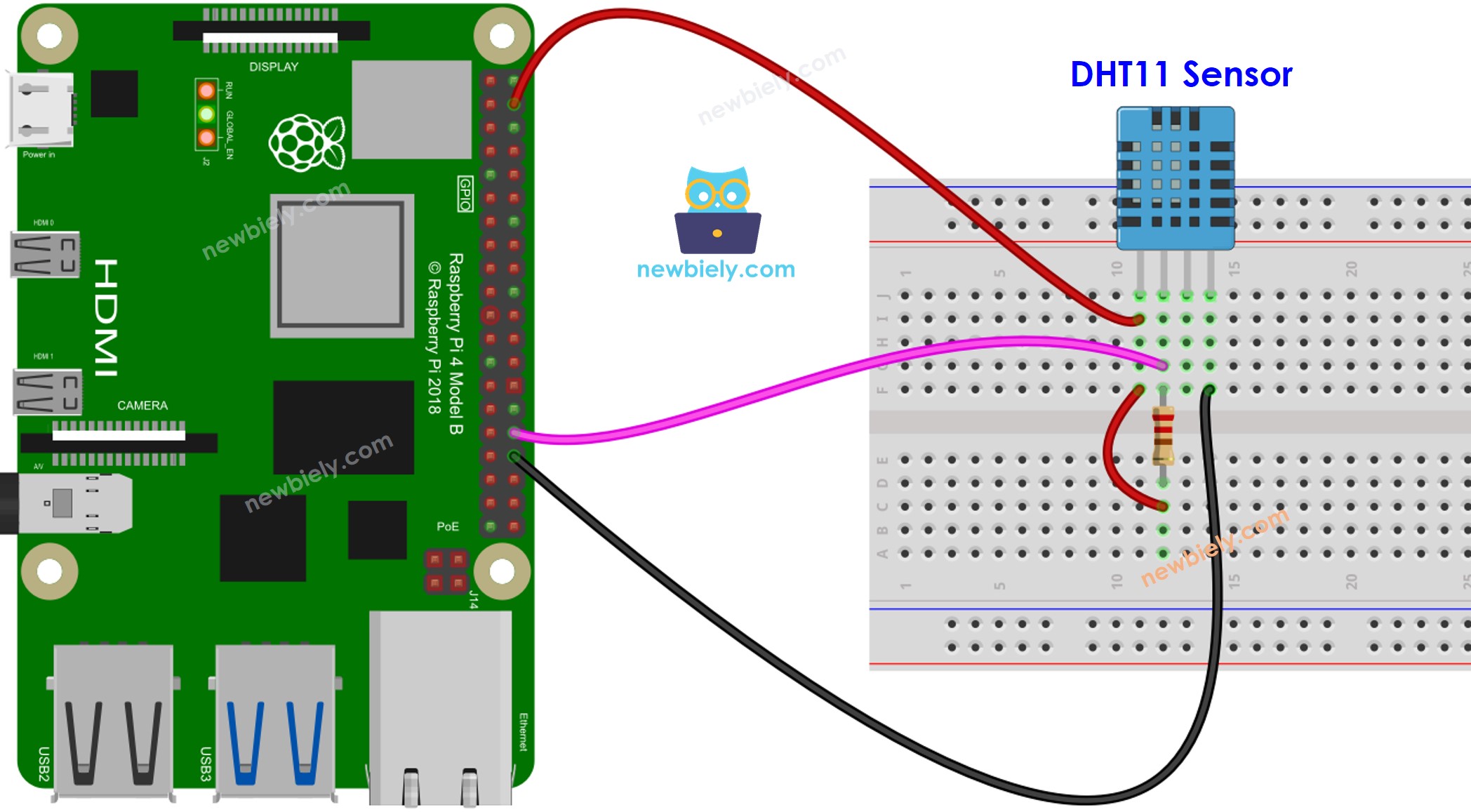 The wiring diagram between Raspberry Pi and DHT11 Temperature and humidity Sensor