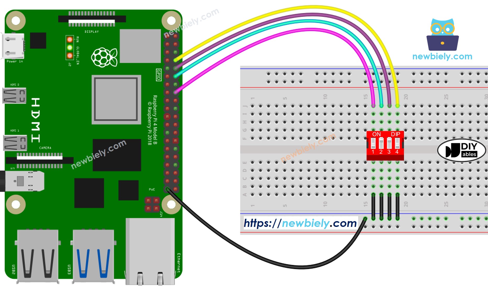 The wiring diagram between Raspberry Pi and DIP switch