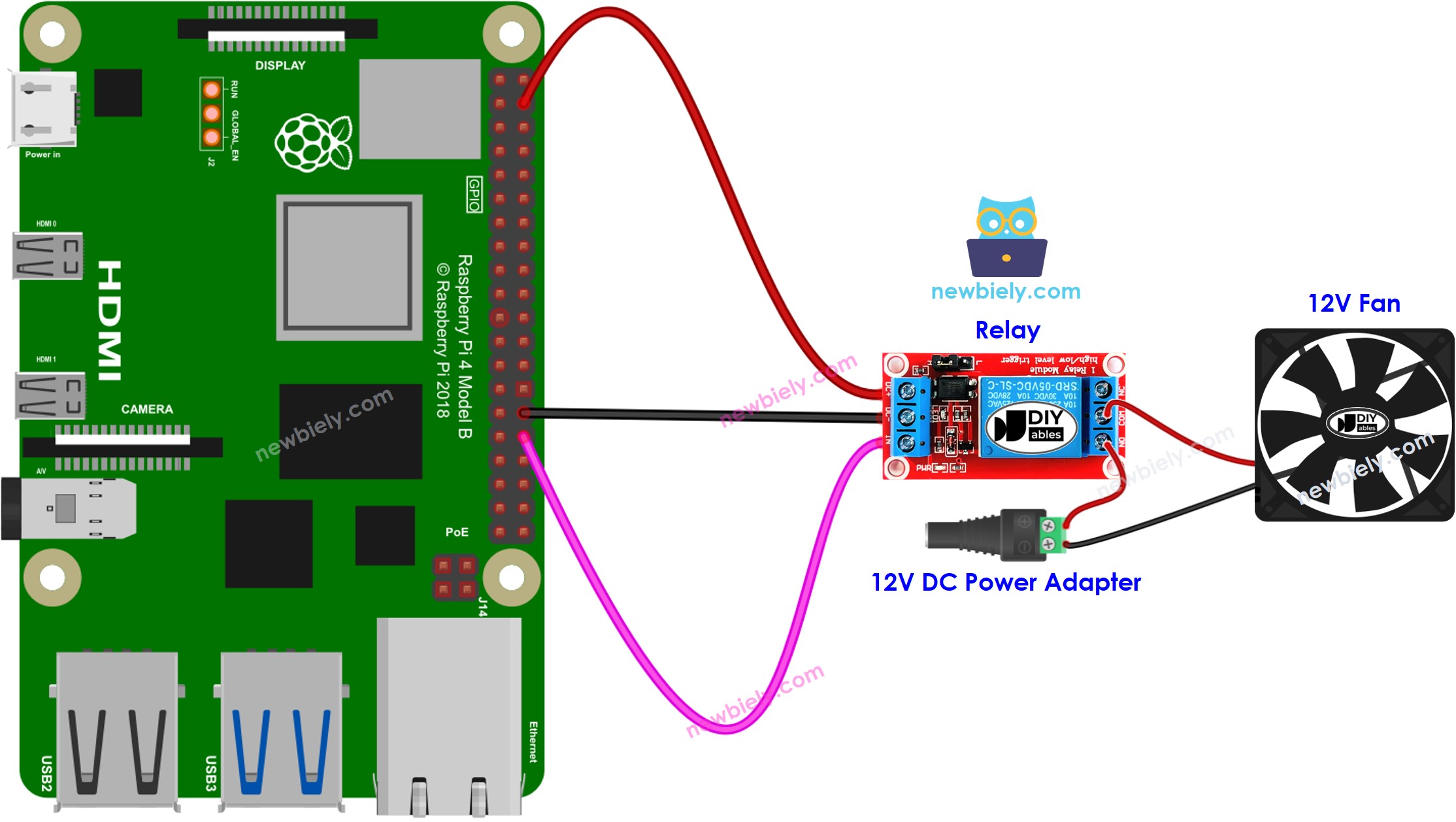 The wiring diagram between Raspberry Pi and Fan