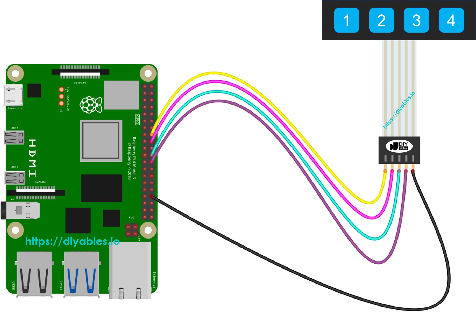 The wiring diagram between Raspberry Pi and Keypad 1x4