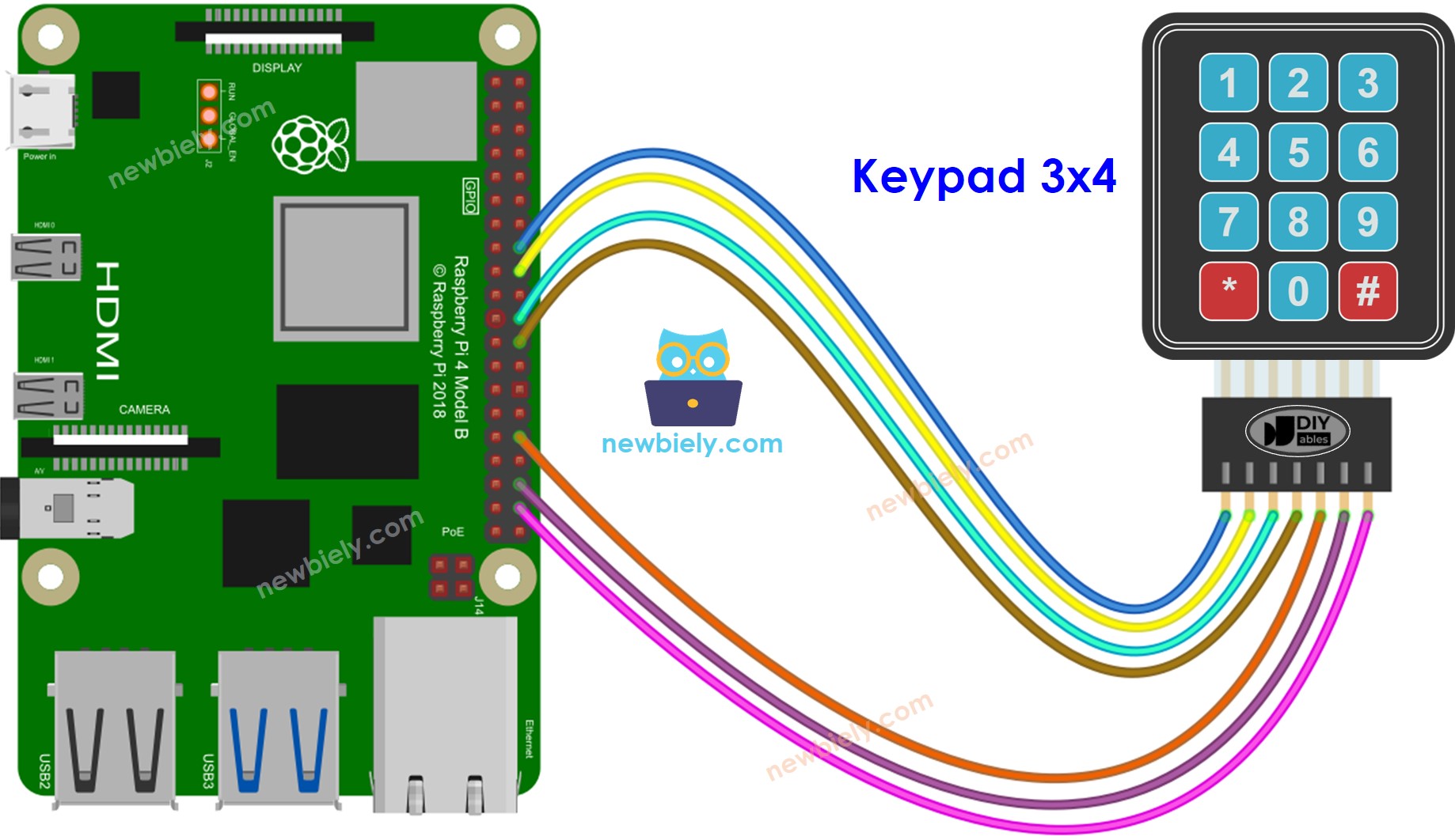 The wiring diagram between Raspberry Pi and Keypad 3x4