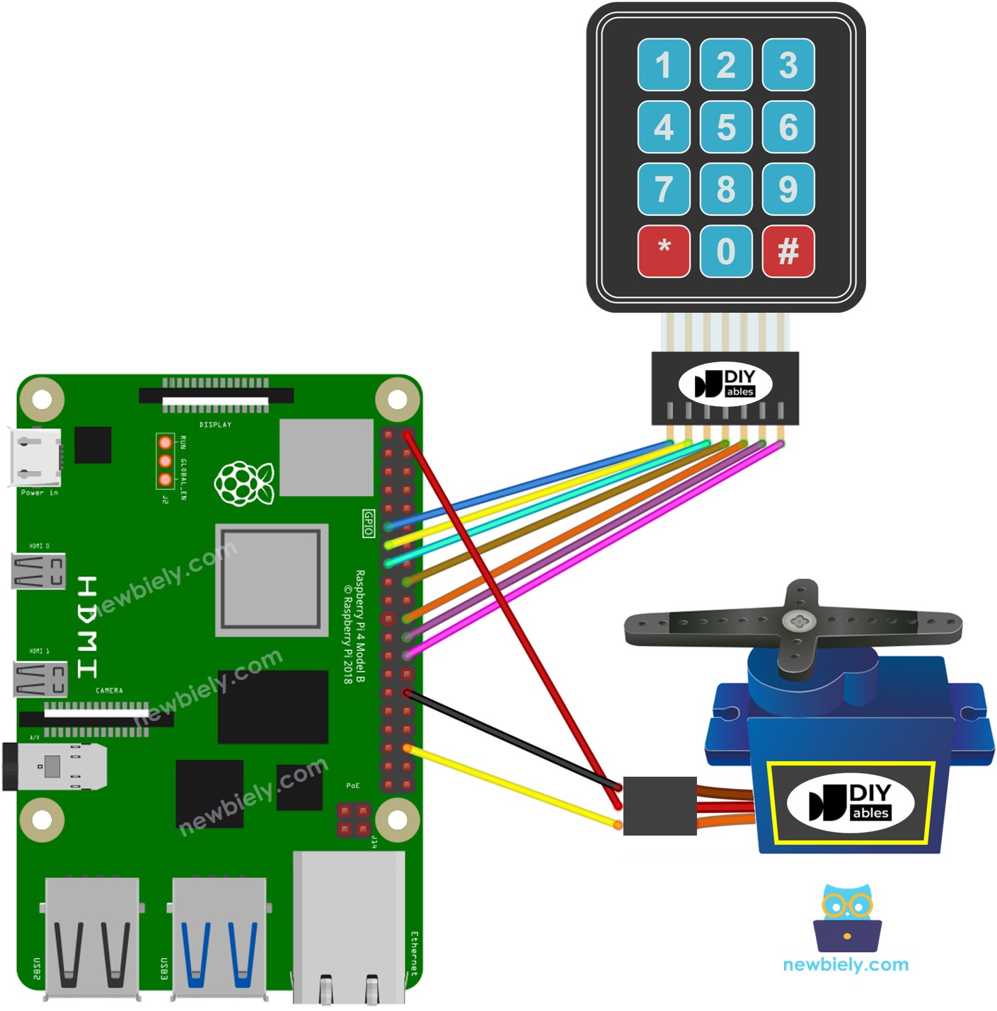 The wiring diagram between Raspberry Pi and keypad servo motor