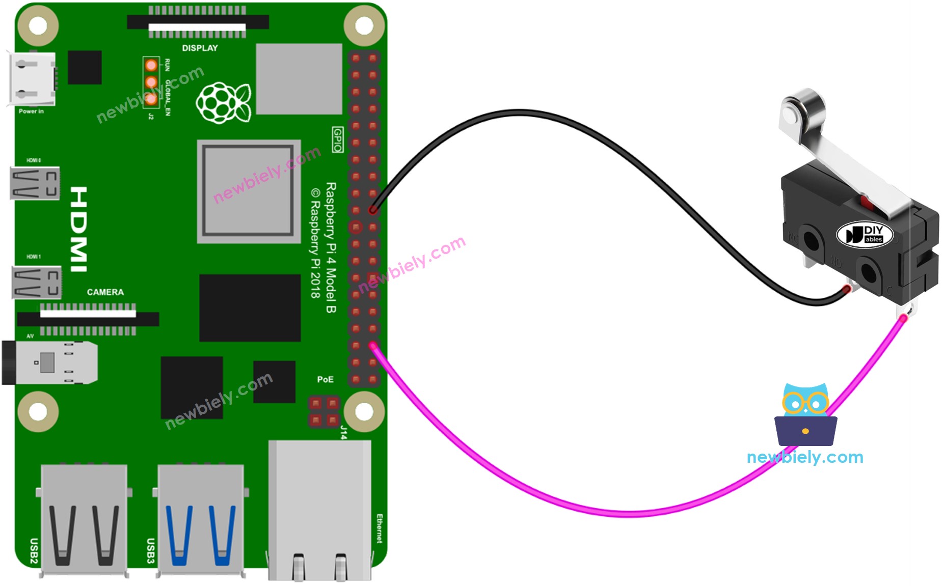 The wiring diagram between Raspberry Pi and Limit Switch
