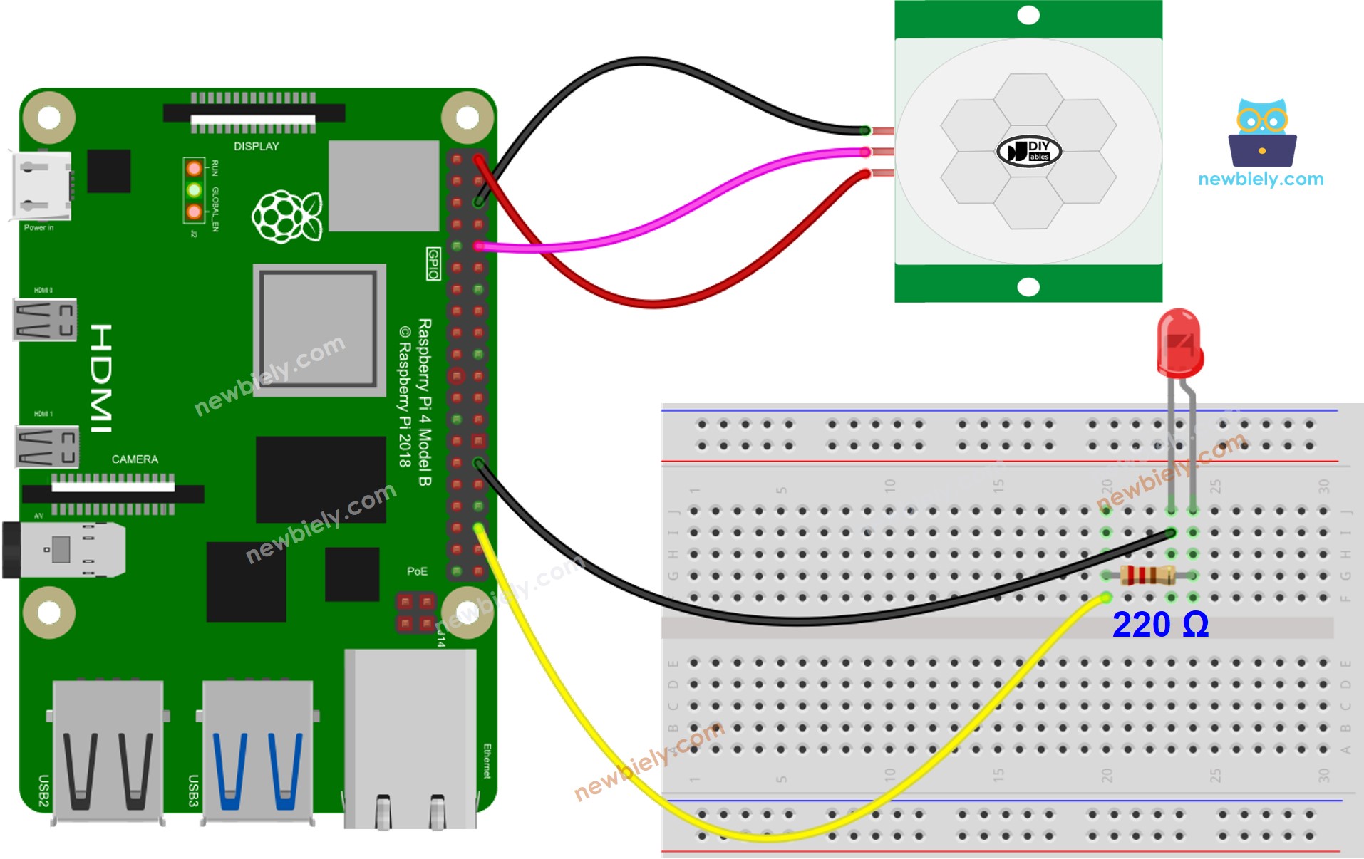 The wiring diagram between Raspberry Pi and Motion Sensor LED