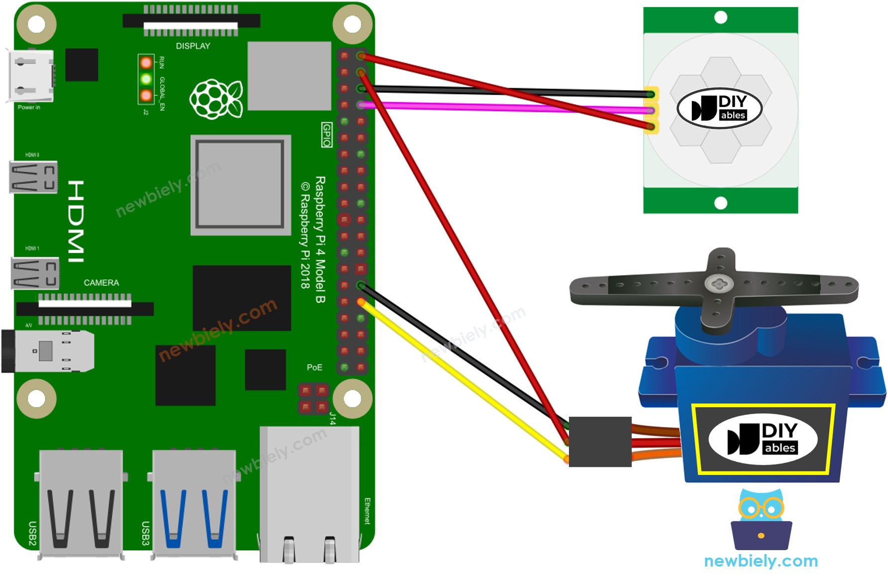 The wiring diagram between Raspberry Pi and Motion Sensor Servo Motor