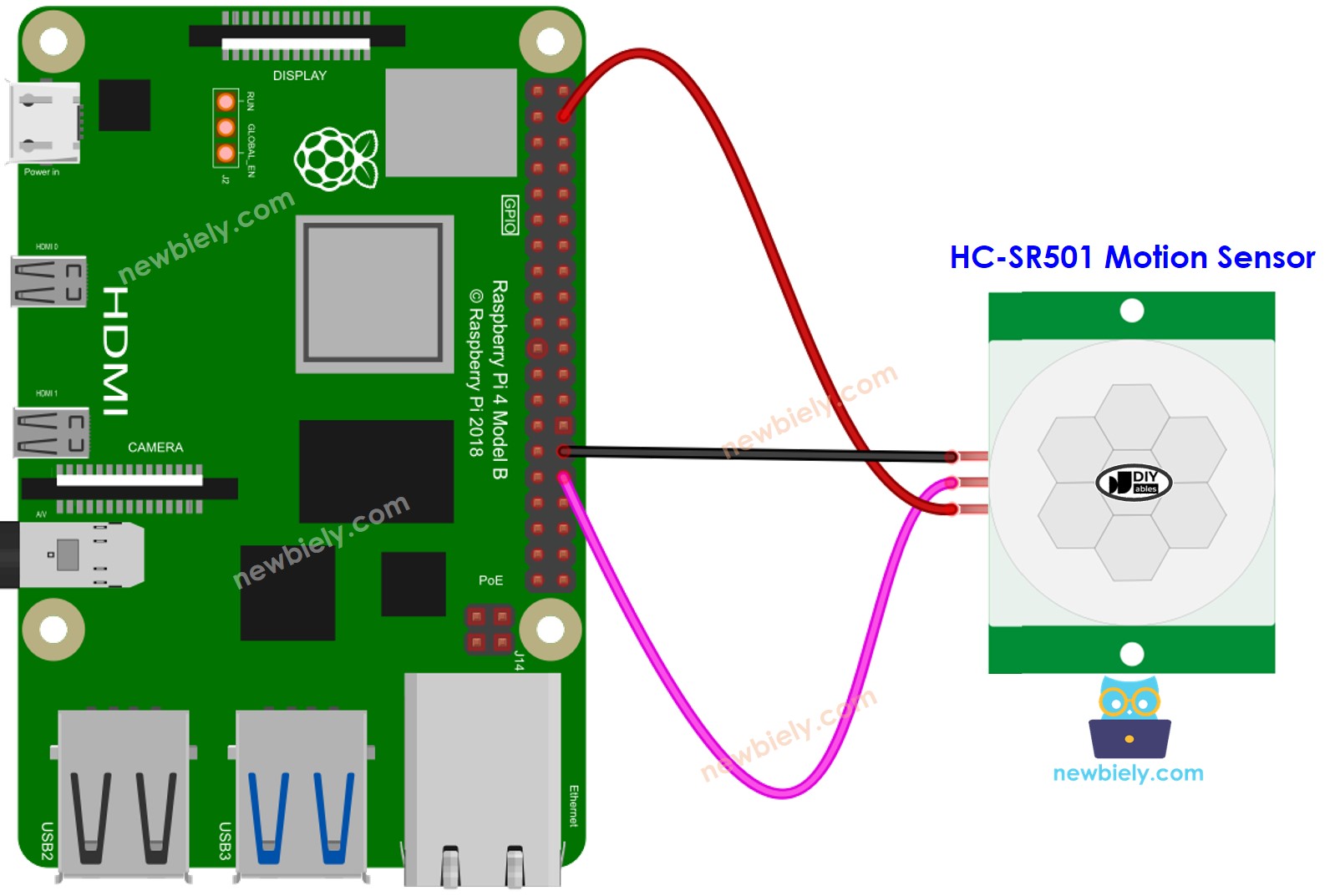 The wiring diagram between Raspberry Pi and Motion Sensor