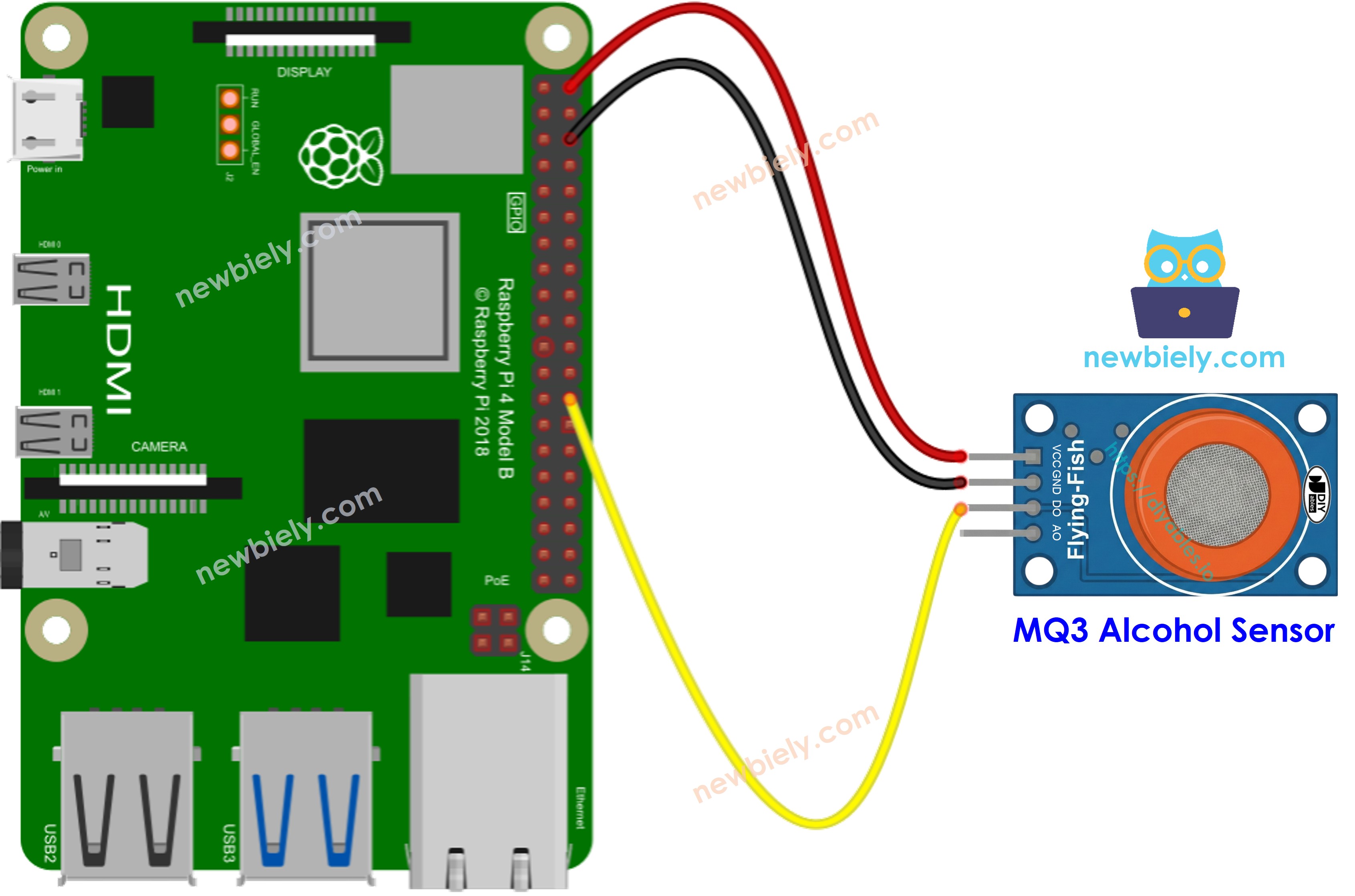 The wiring diagram between Raspberry Pi and MQ3 alcohol sensor