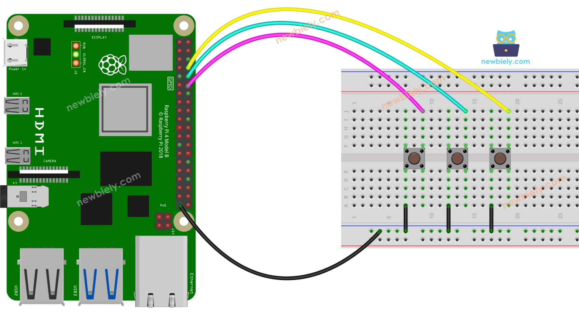 The wiring diagram between Raspberry Pi and Button Library