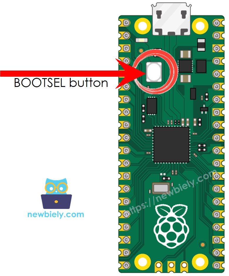 Raspberry Pi Pico BOOTSEL button