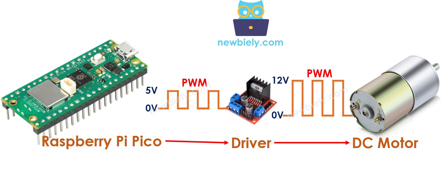 Raspberry Pi Pico control DC motor