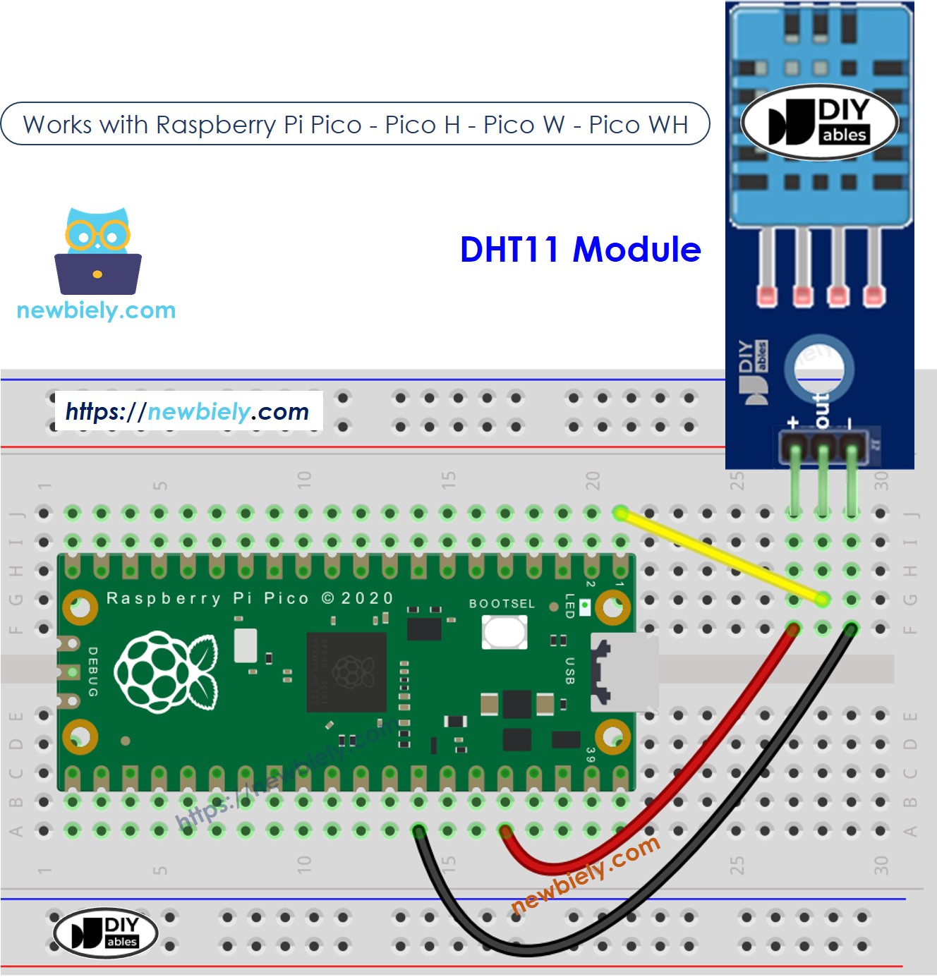 The wiring diagram between Raspberry Pi and Pico DHT11 Temperature and humidity Module