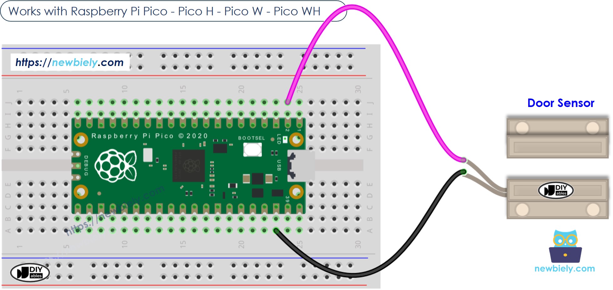 The wiring diagram between Raspberry Pi and Pico Door Sensor