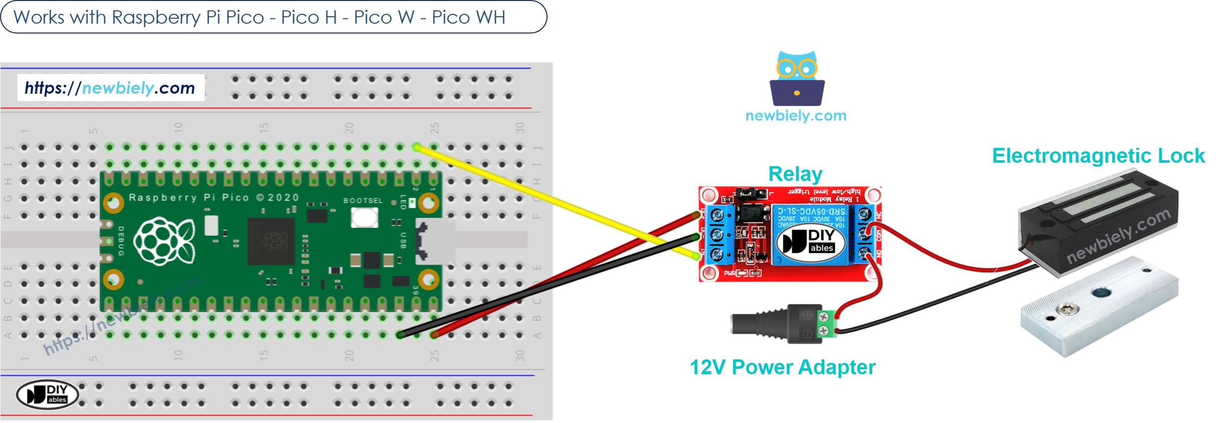 The wiring diagram between Raspberry Pi and Pico Electromagnetic Lock