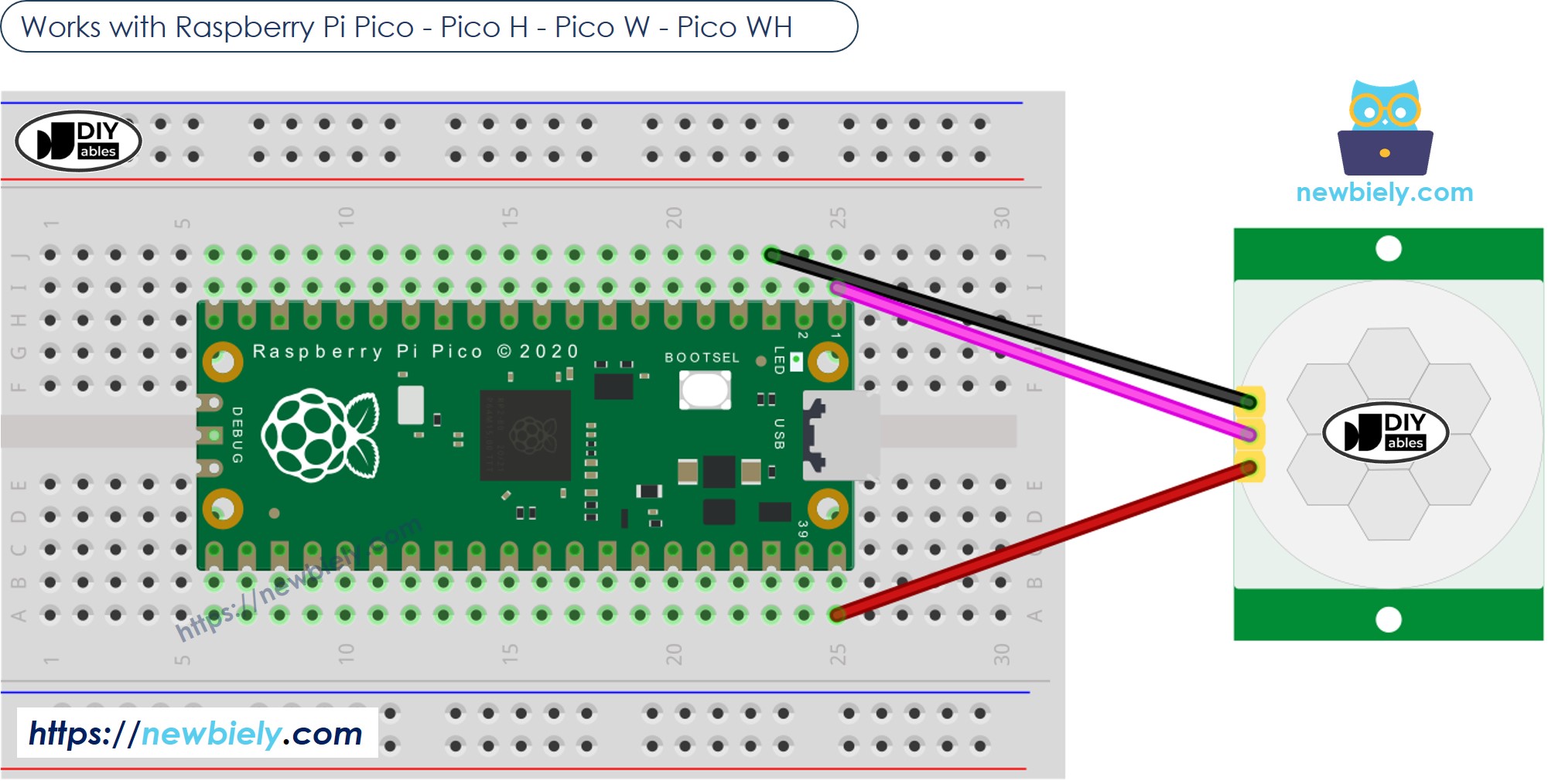 The wiring diagram between Raspberry Pi and Pico Motion Sensor