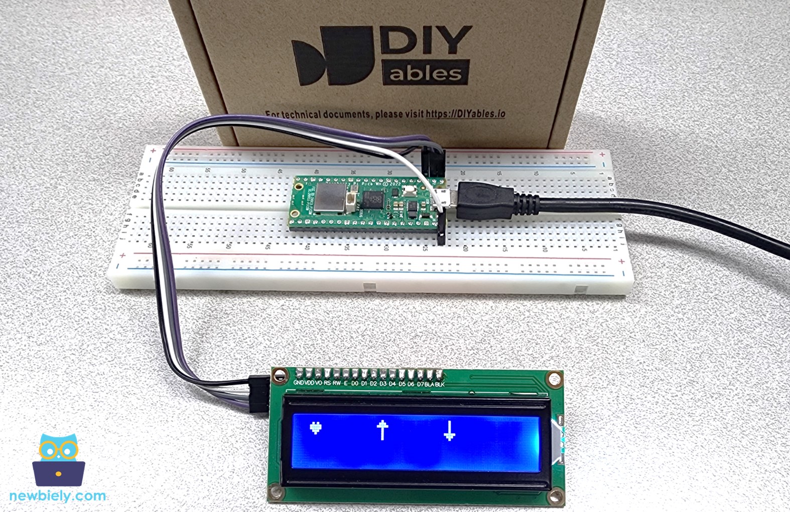 LCD multiple custom characters