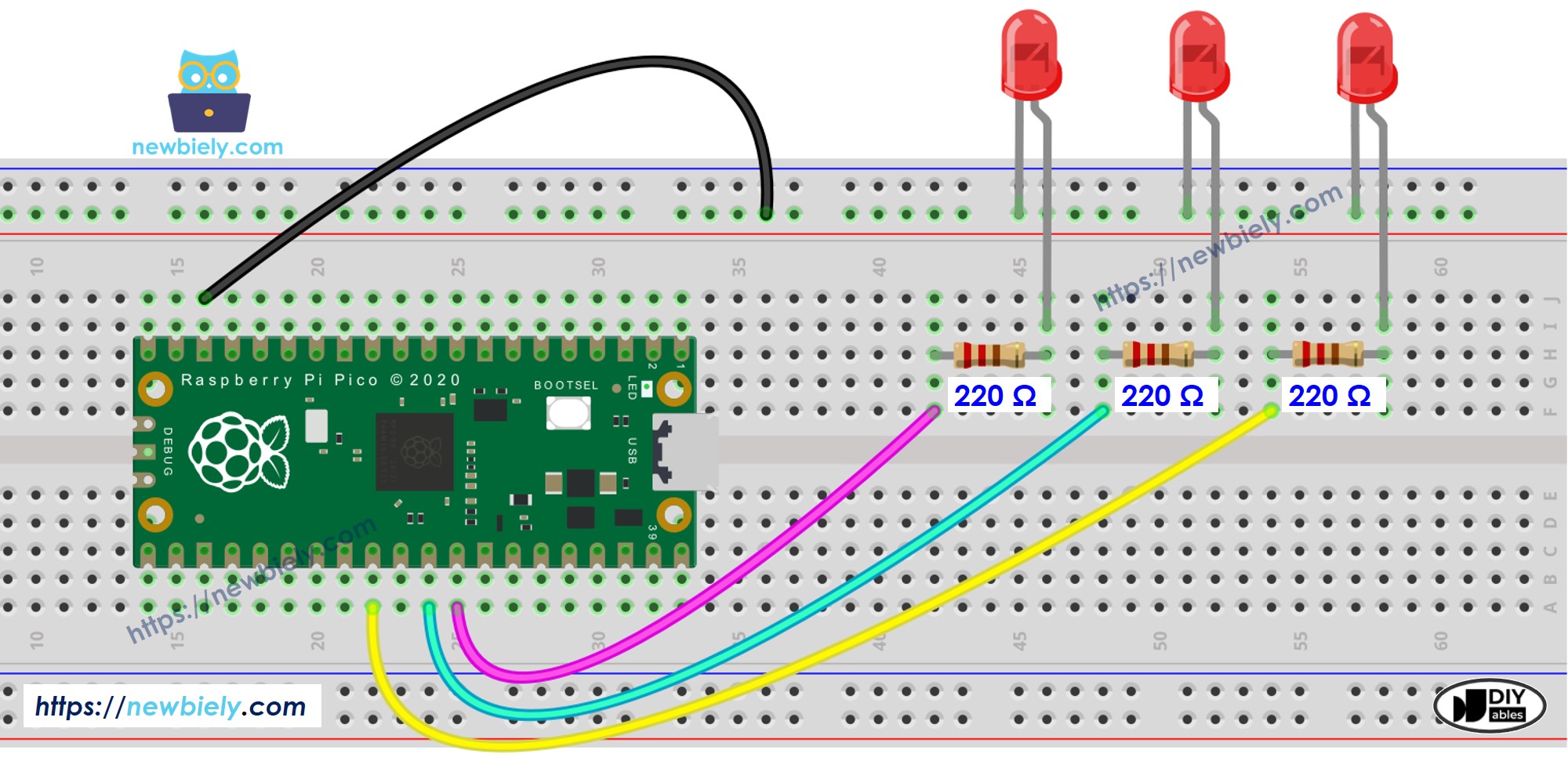 The wiring diagram between Raspberry Pi and Pico multiple LED