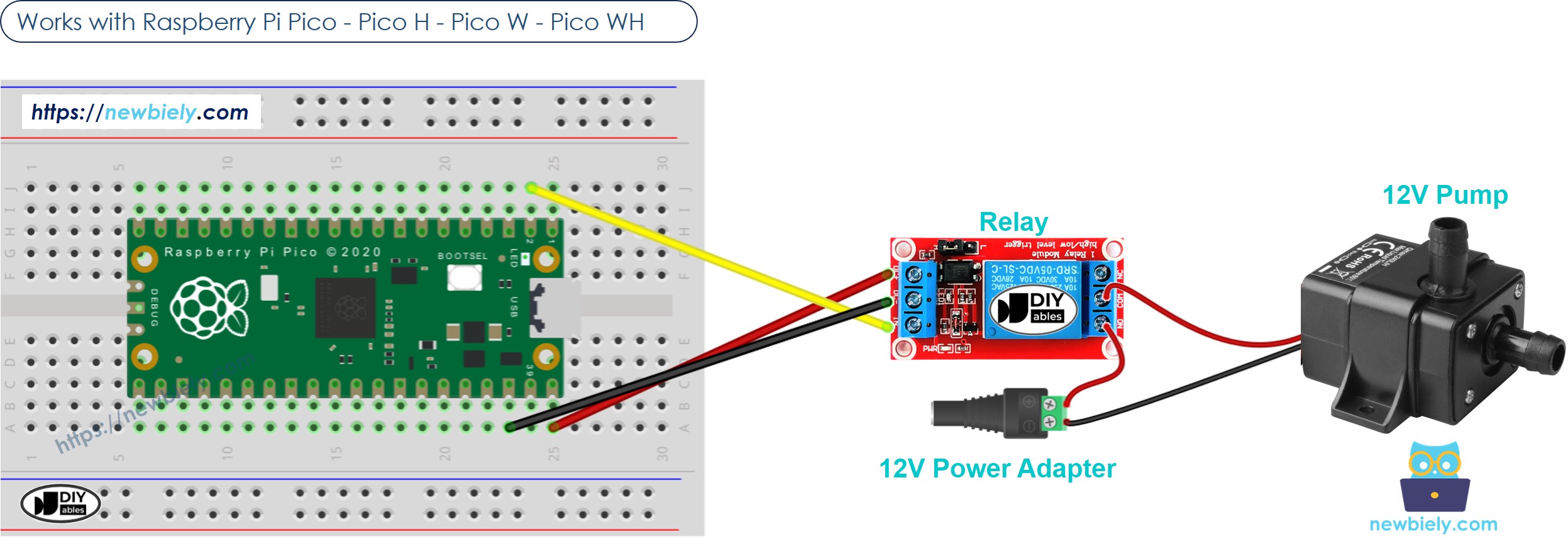 The wiring diagram between Raspberry Pi and Pico Pump